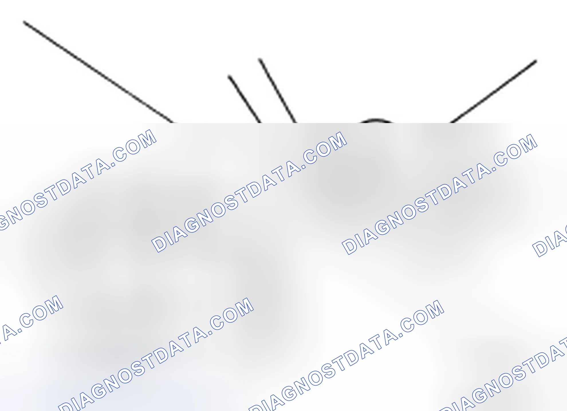 Scheme 48: BRAKE FLUID : Changing