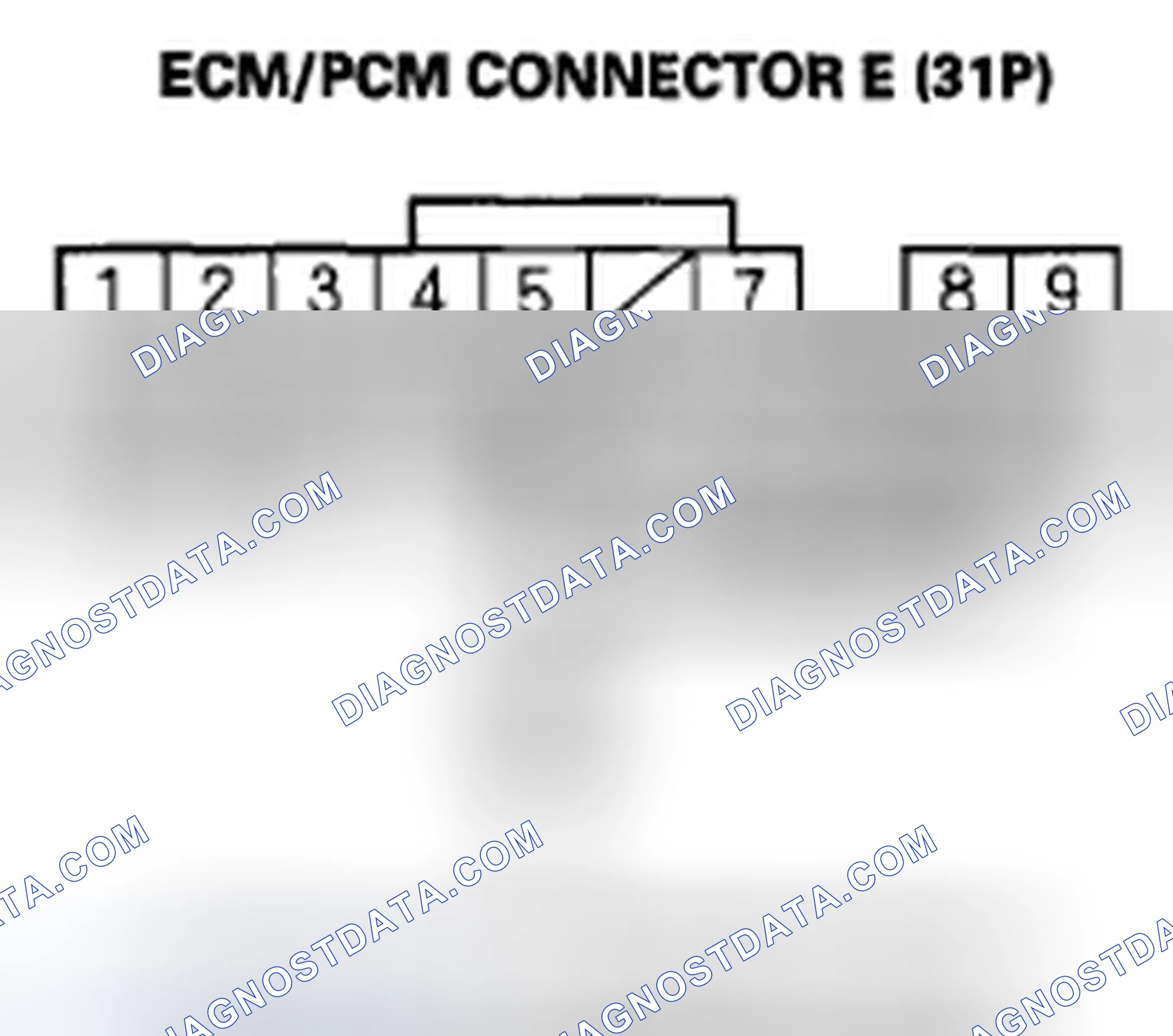 Scheme 491