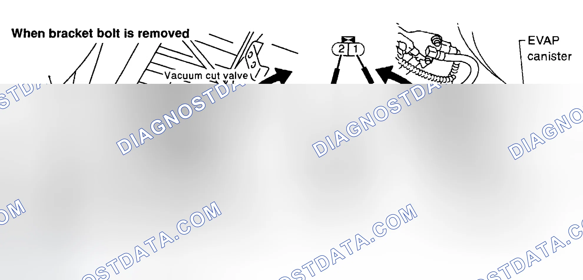 Scheme 5