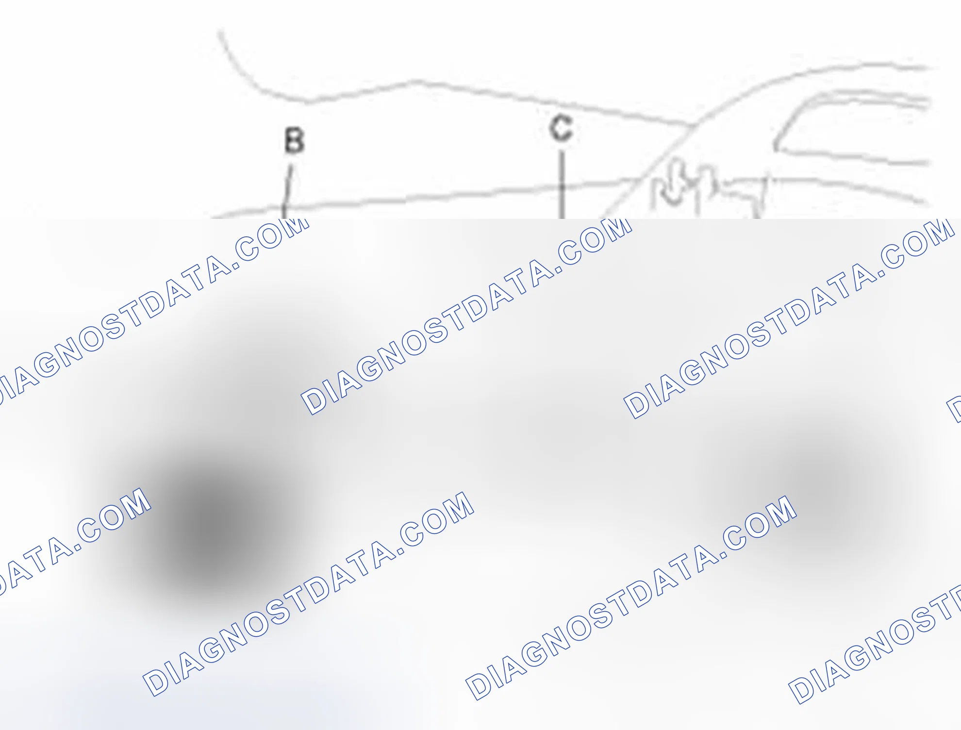 Scheme 117