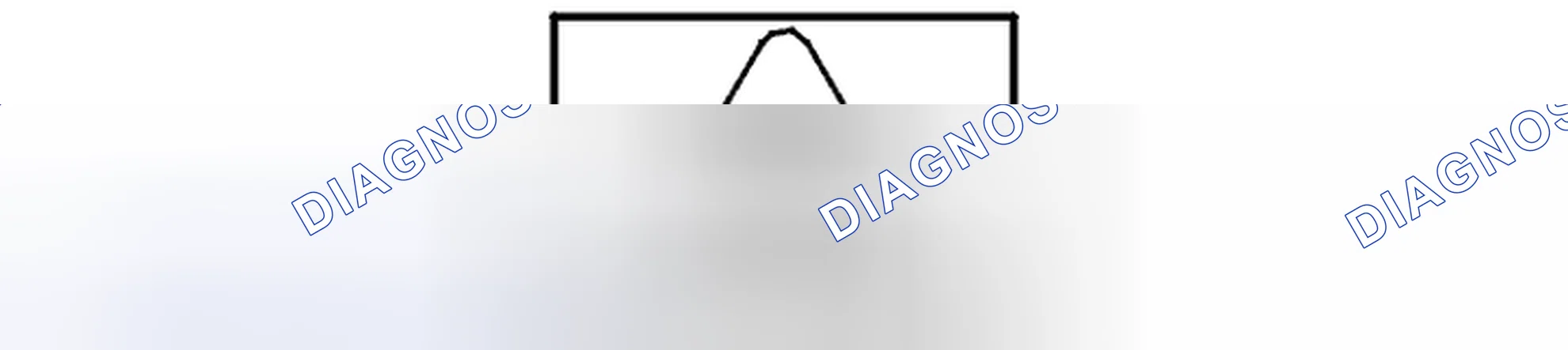 Scheme 22: Diagnostic trouble code (DTC) information