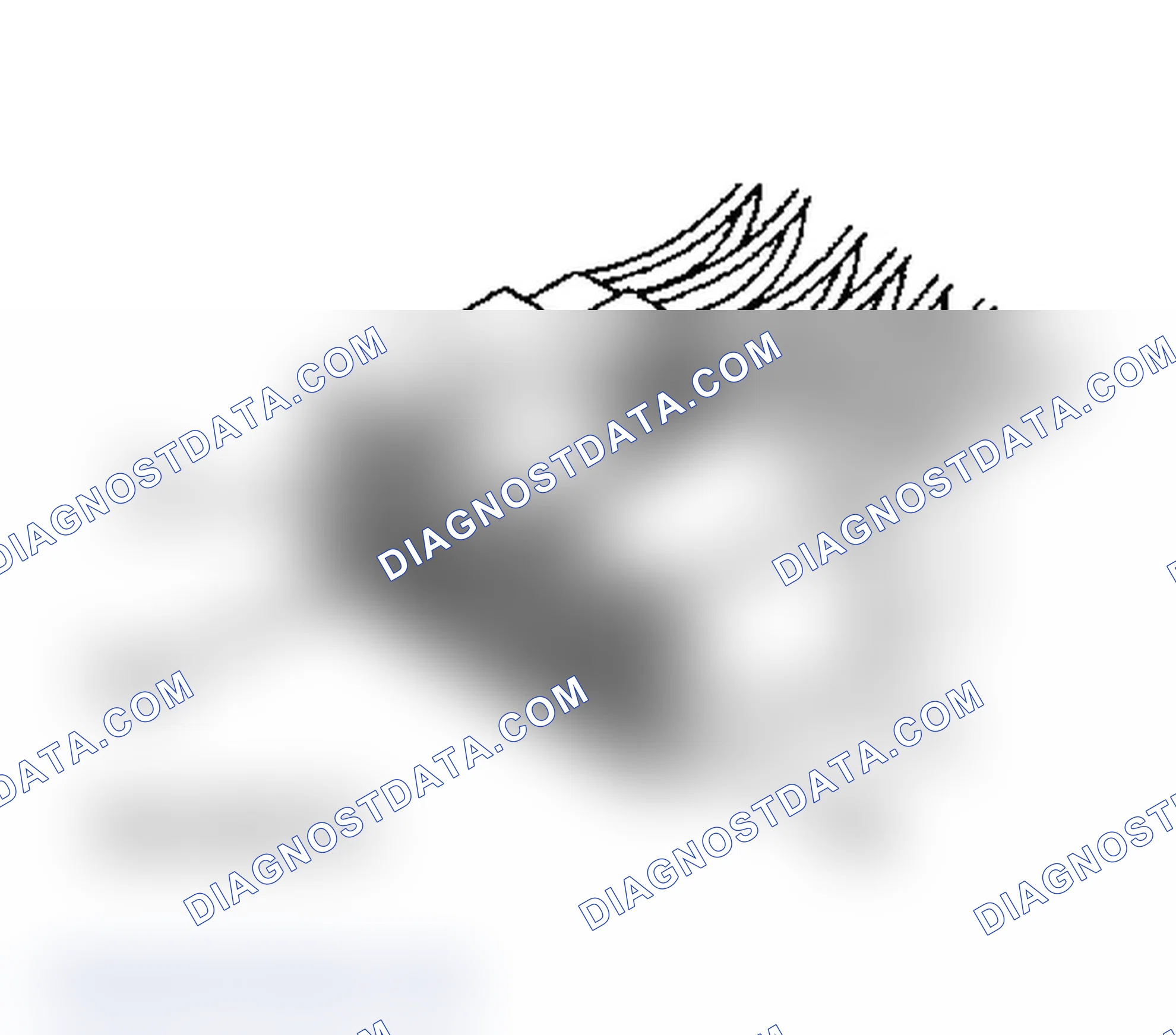 Scheme 123