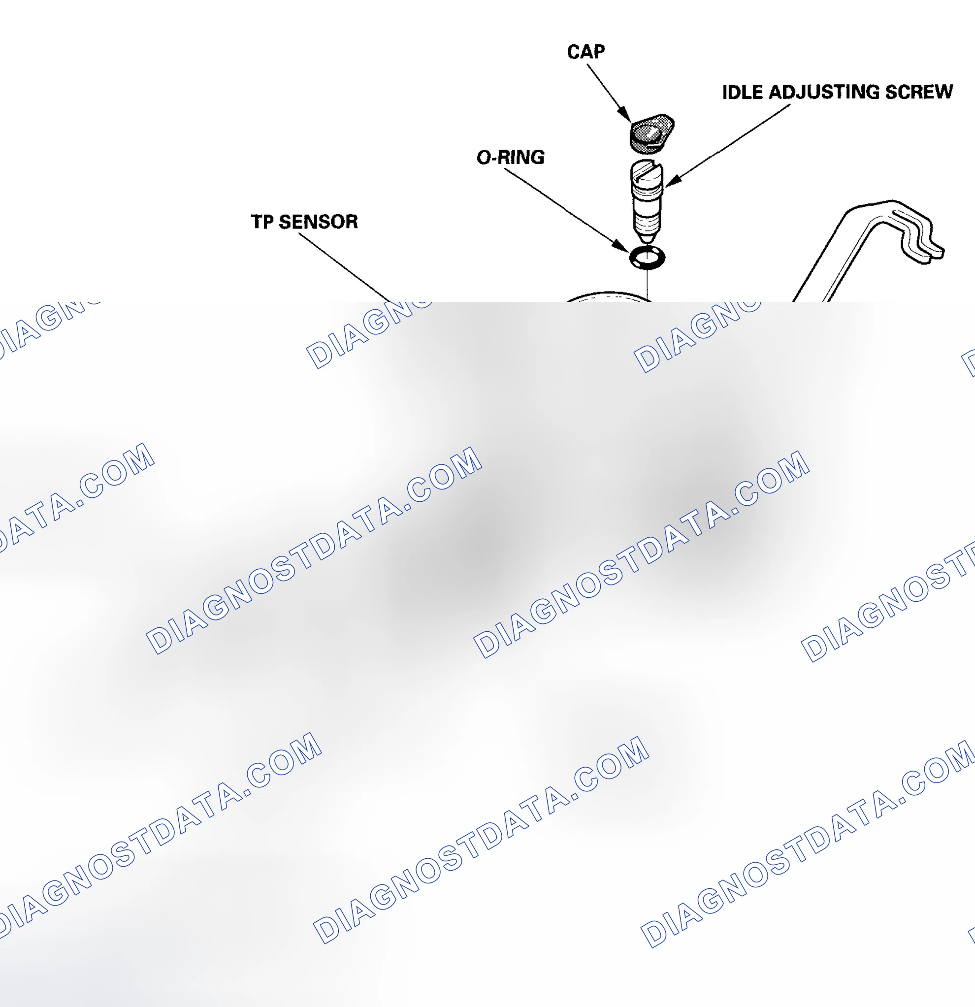Scheme 313: Throttle Body Disassembly/Reassembly