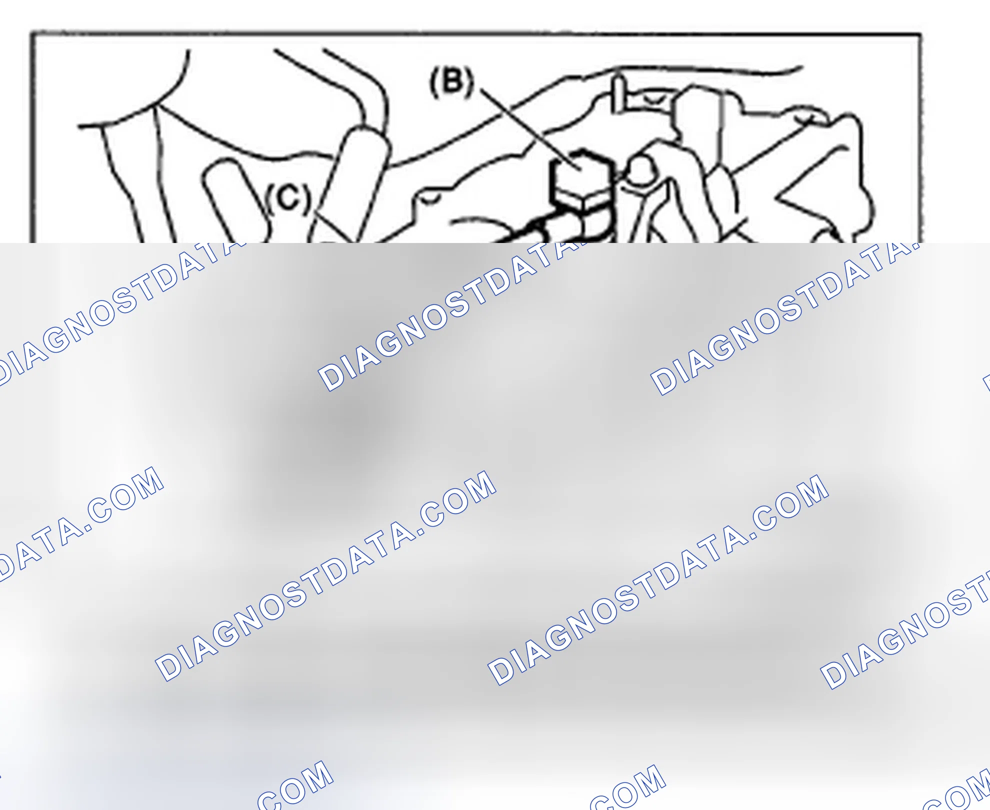 Scheme 163