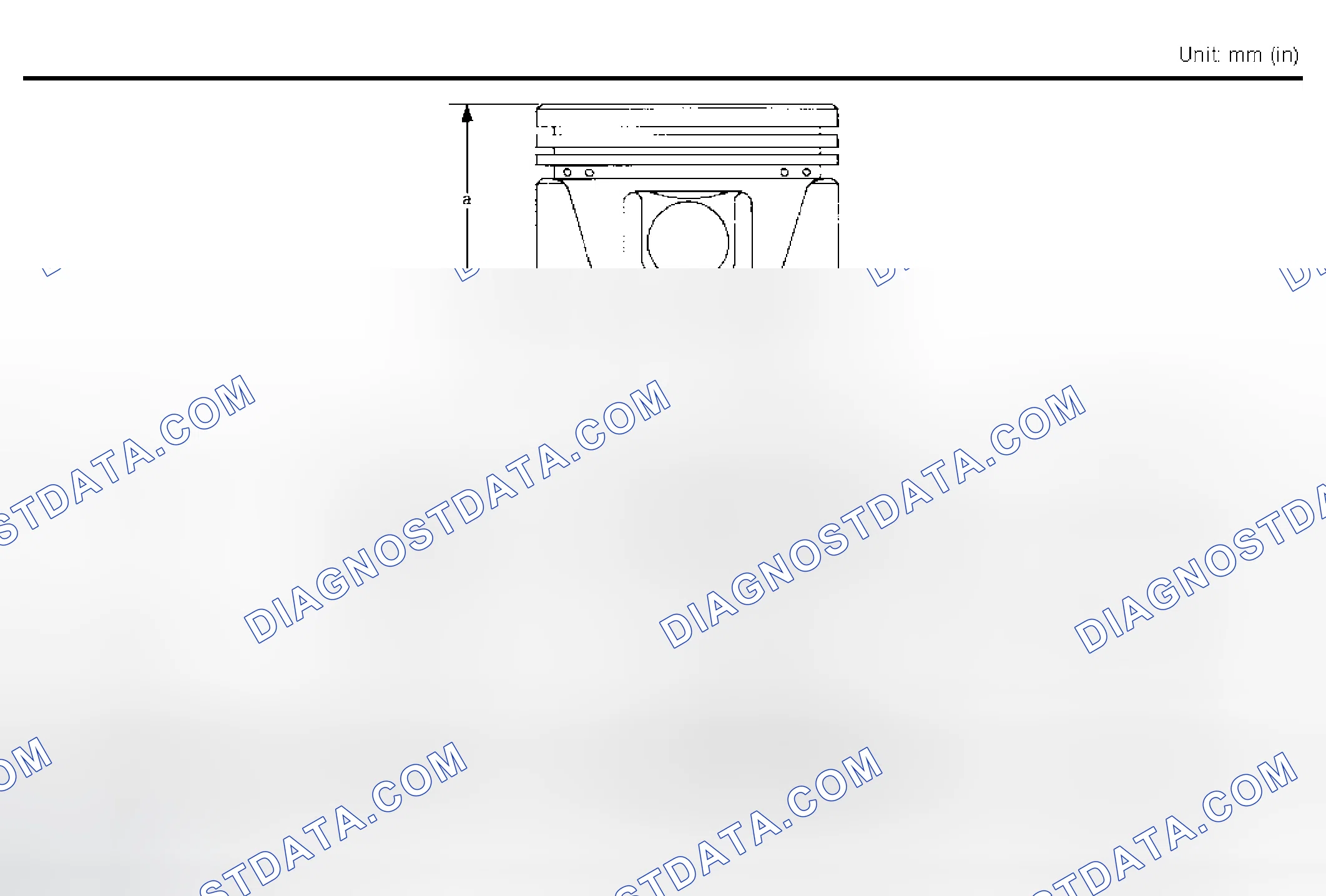 Scheme 348: Available Piston