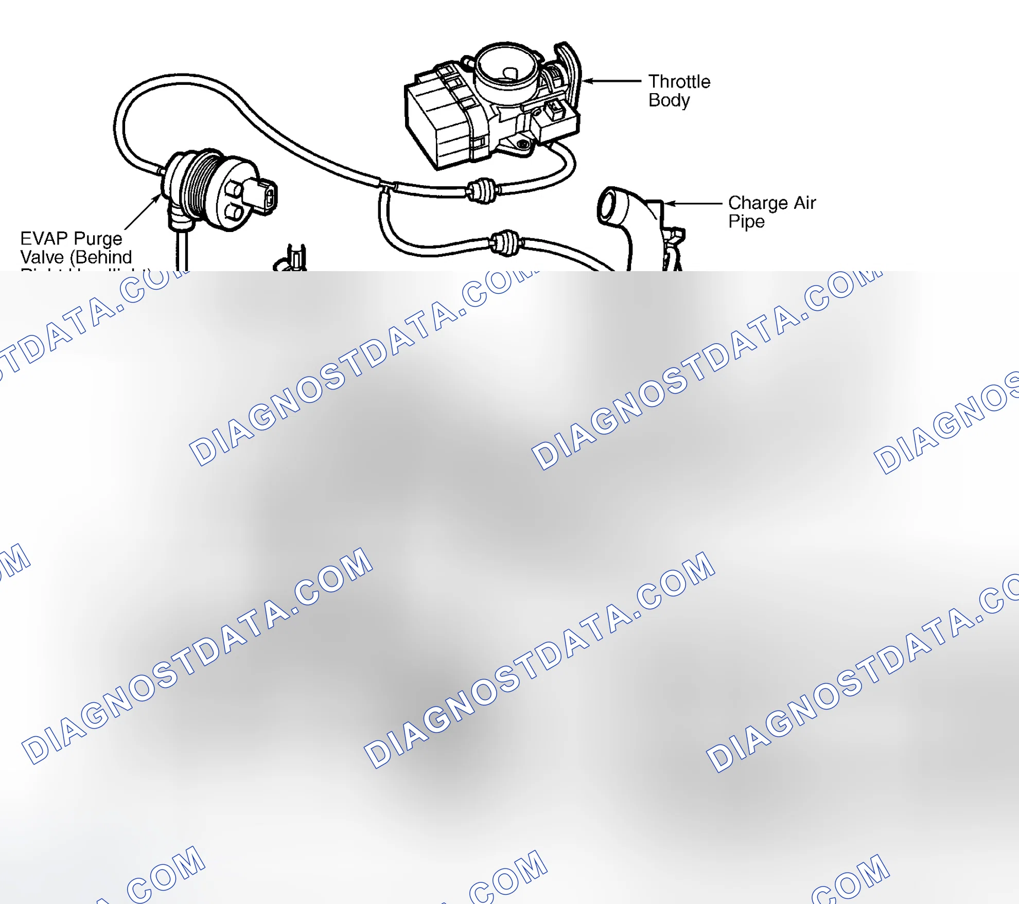 Scheme 15: DTC P0441: EVAP PURGE VALVE MALFUNCTION