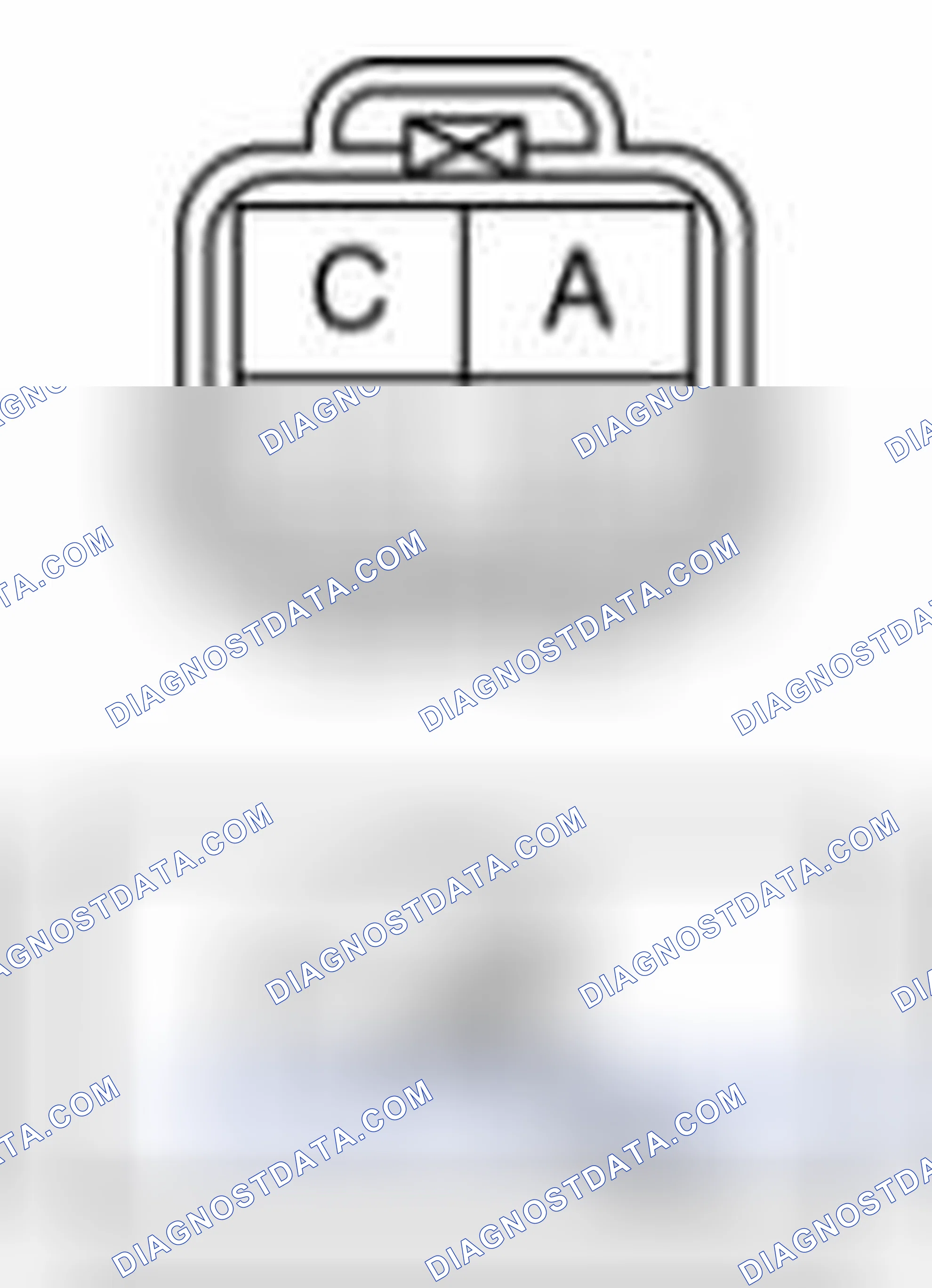 Scheme 196