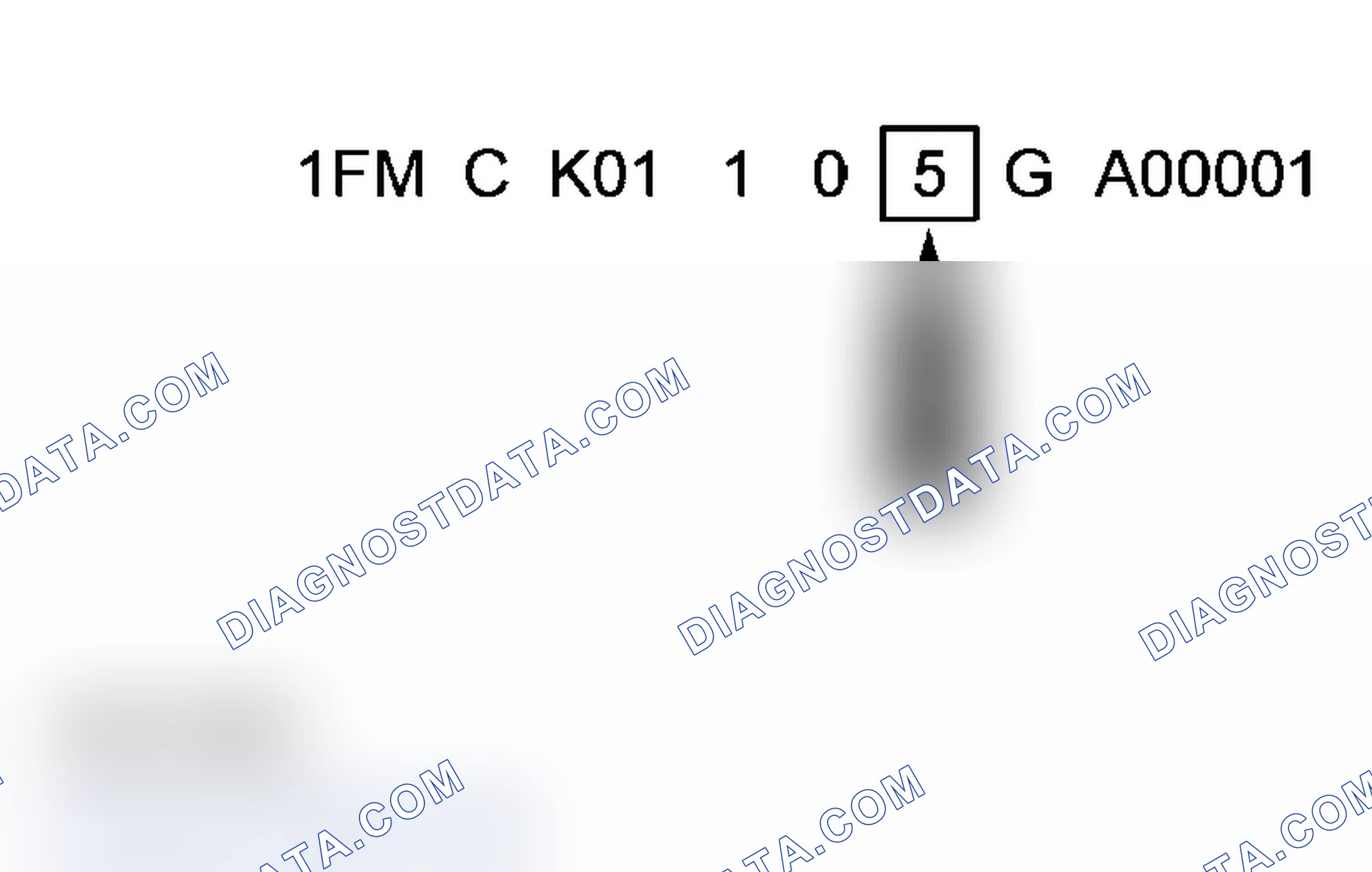 Scheme 18: Model Year