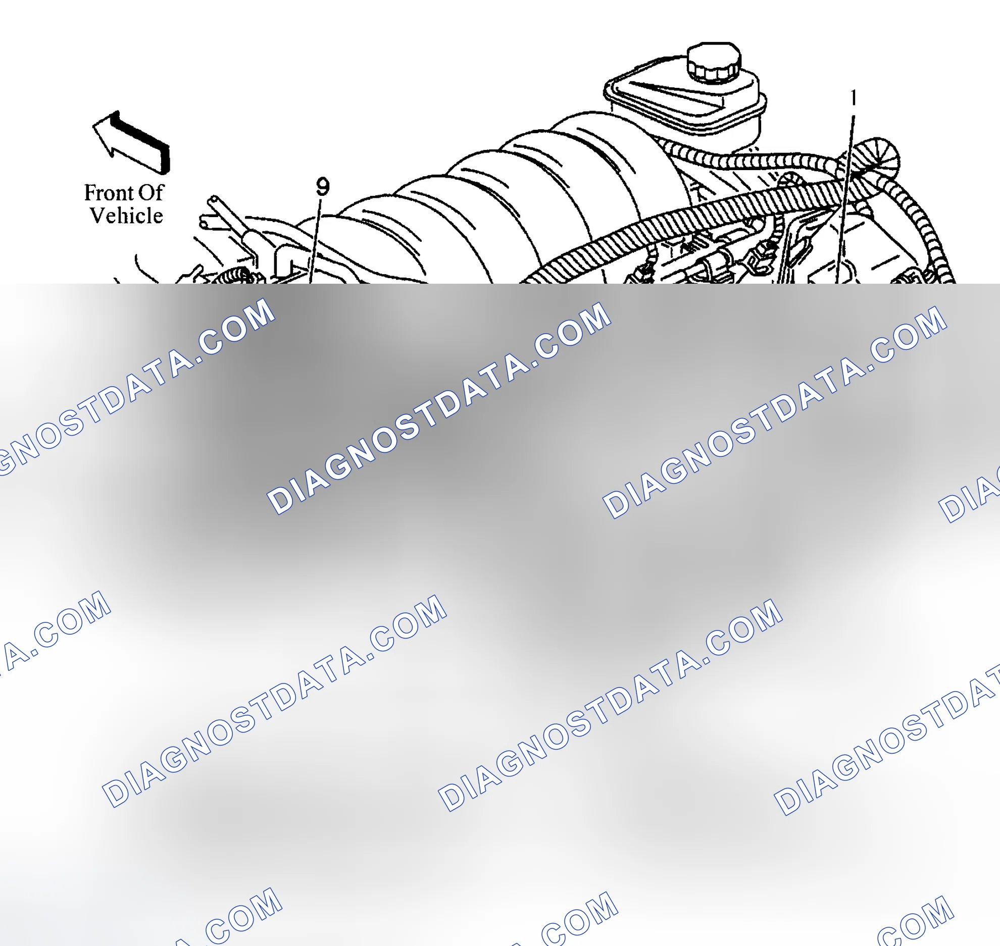 Scheme 15: Diagnostic Procedures