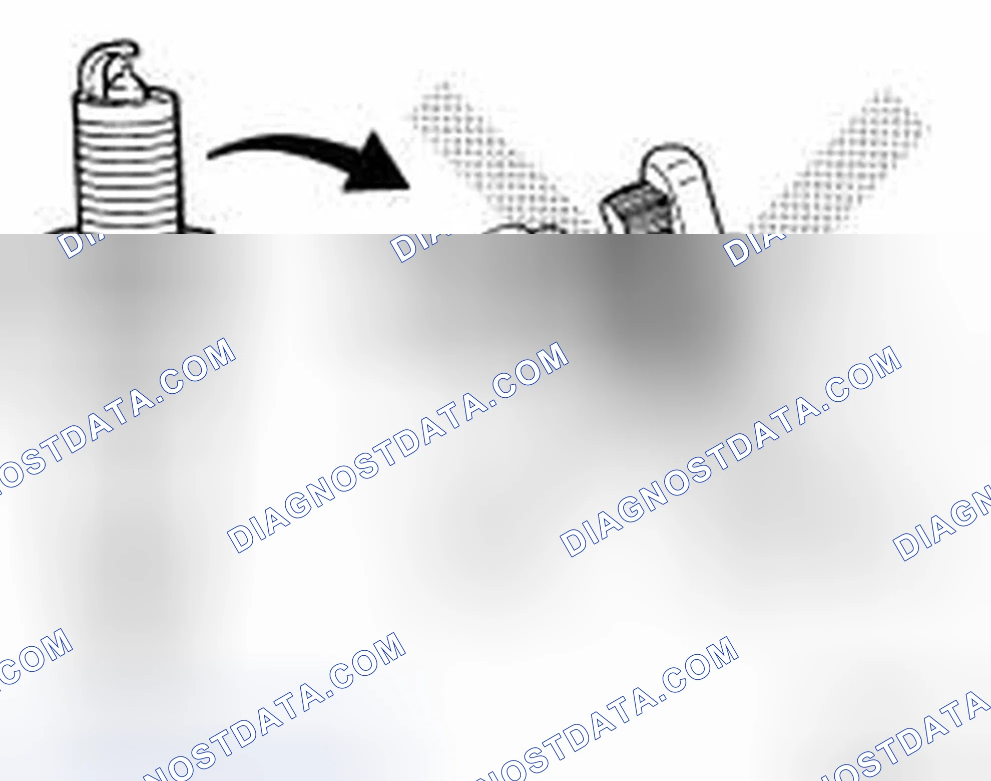 Scheme 39: INSPECTION AFTER REMOVAL