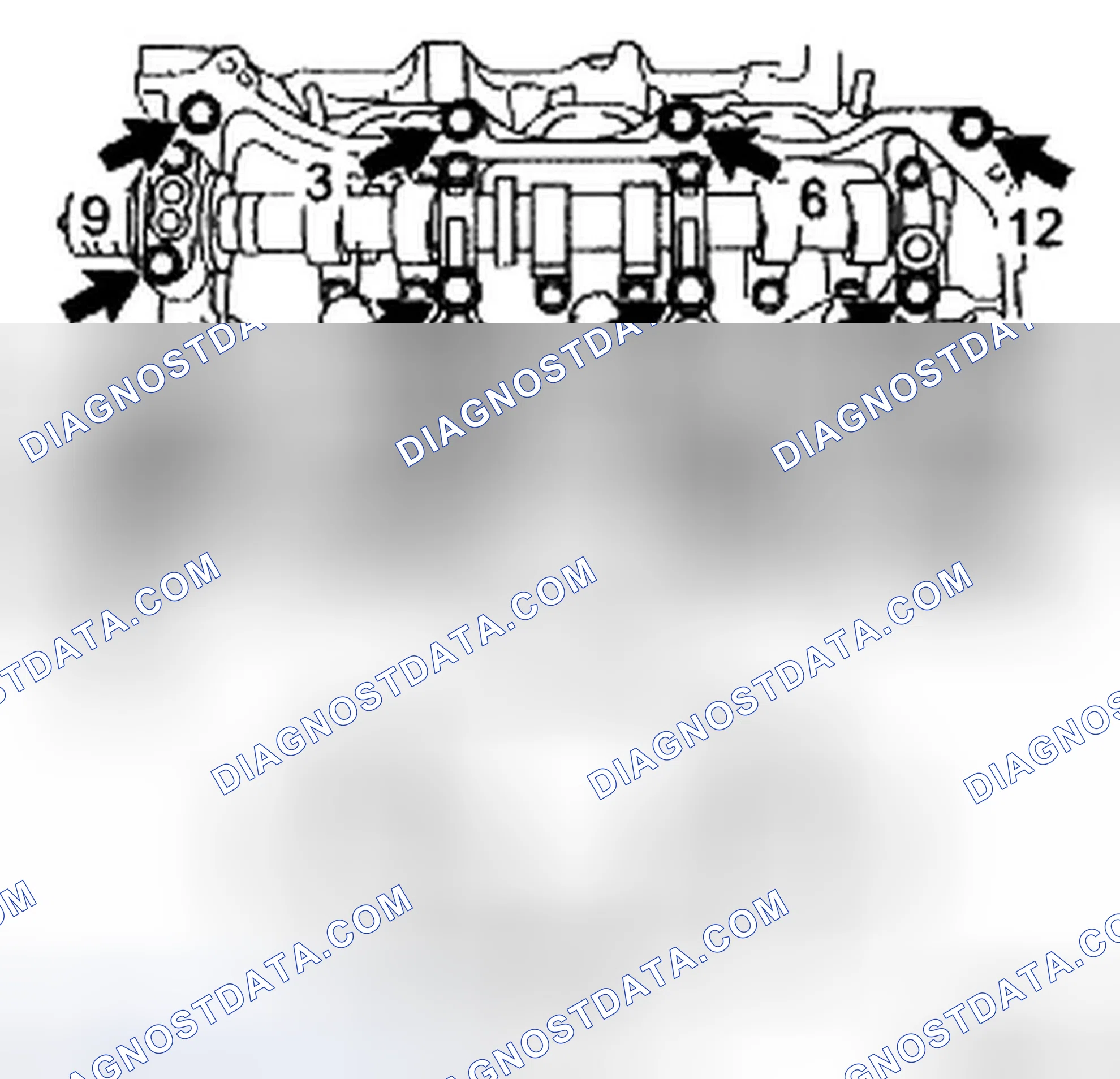 Scheme 337