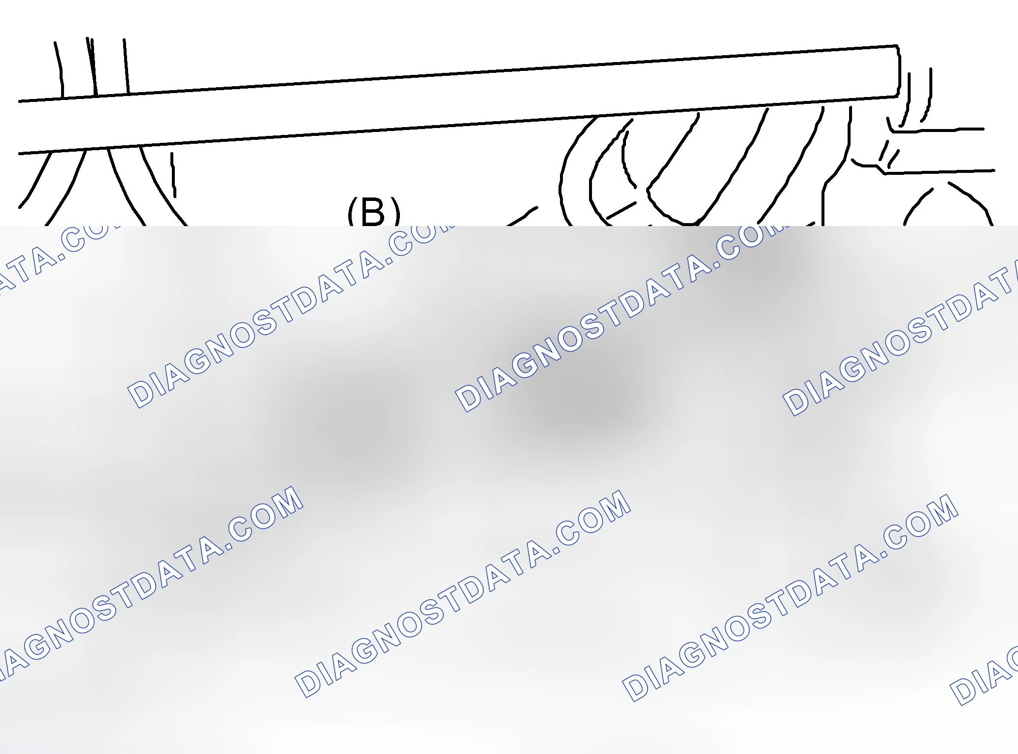 Scheme 151