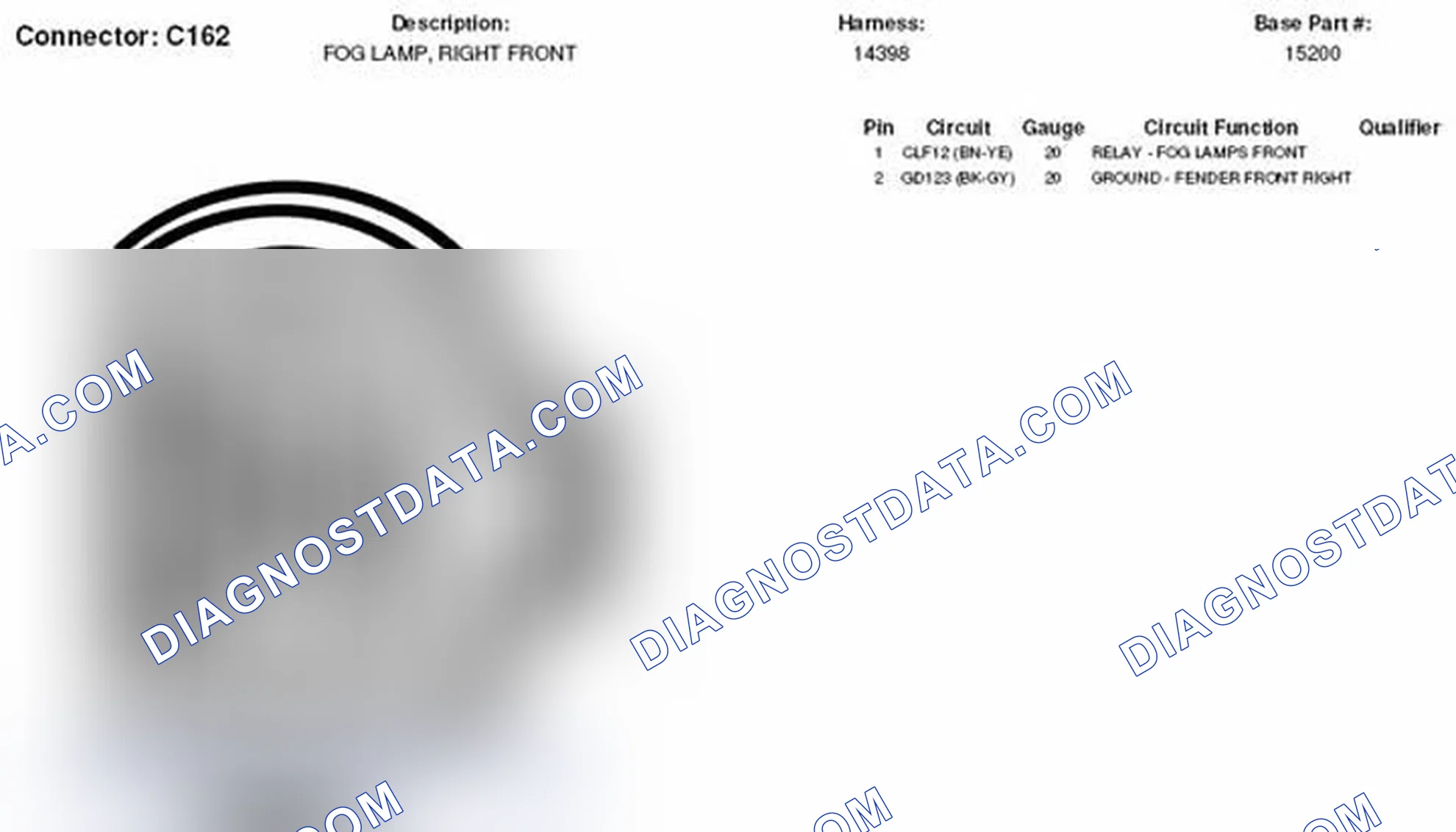 Scheme 45: Right Front Fog Lamp Connector End View (C162)