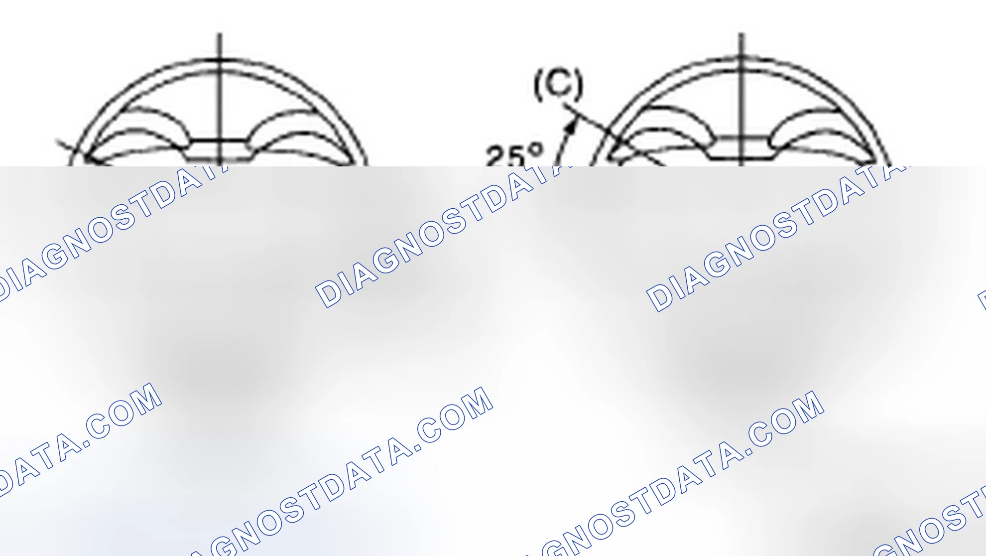 Scheme 186
