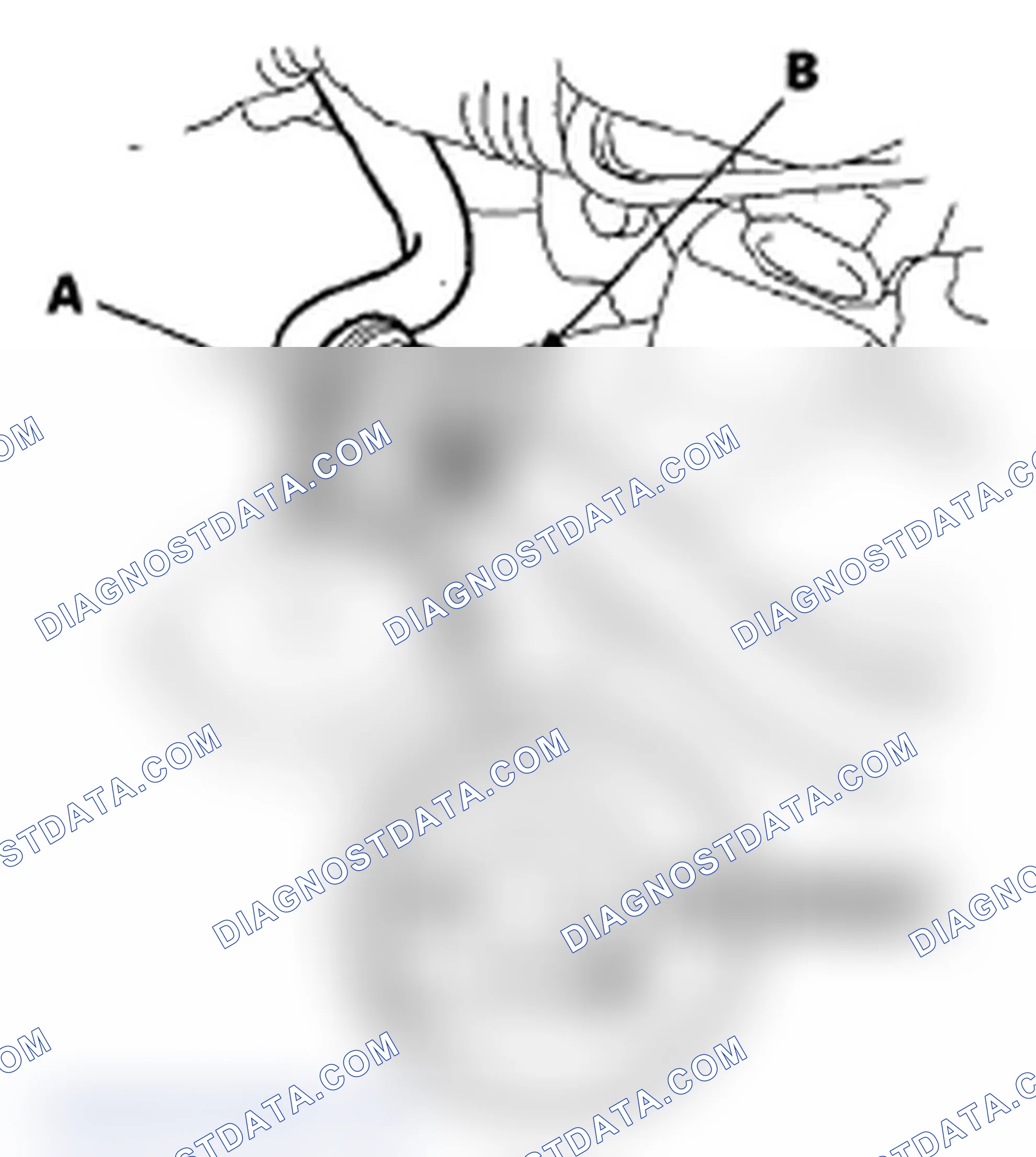 Scheme 31