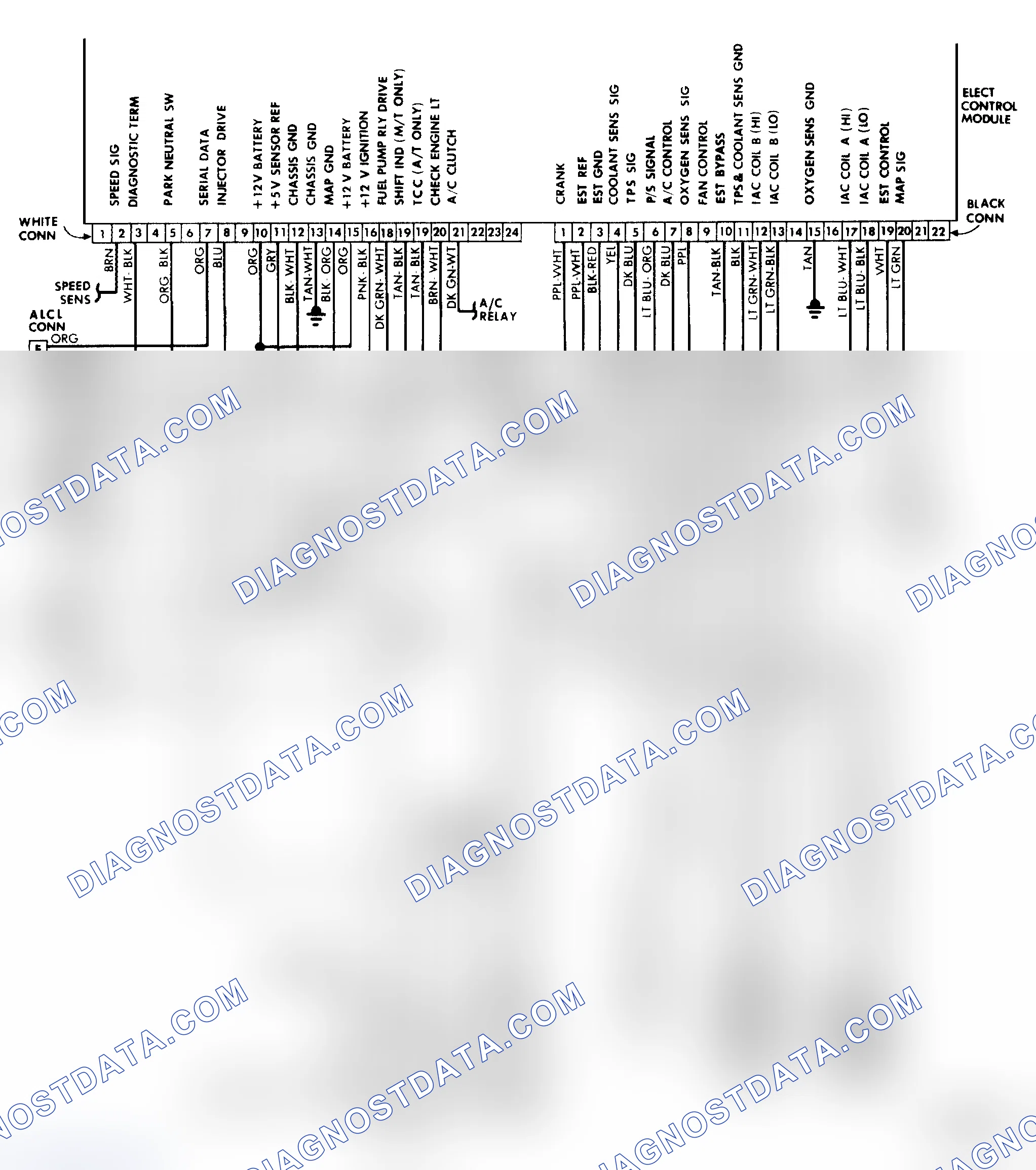 Scheme 262: Wiring Diagram (2.5L TBI Engine)
