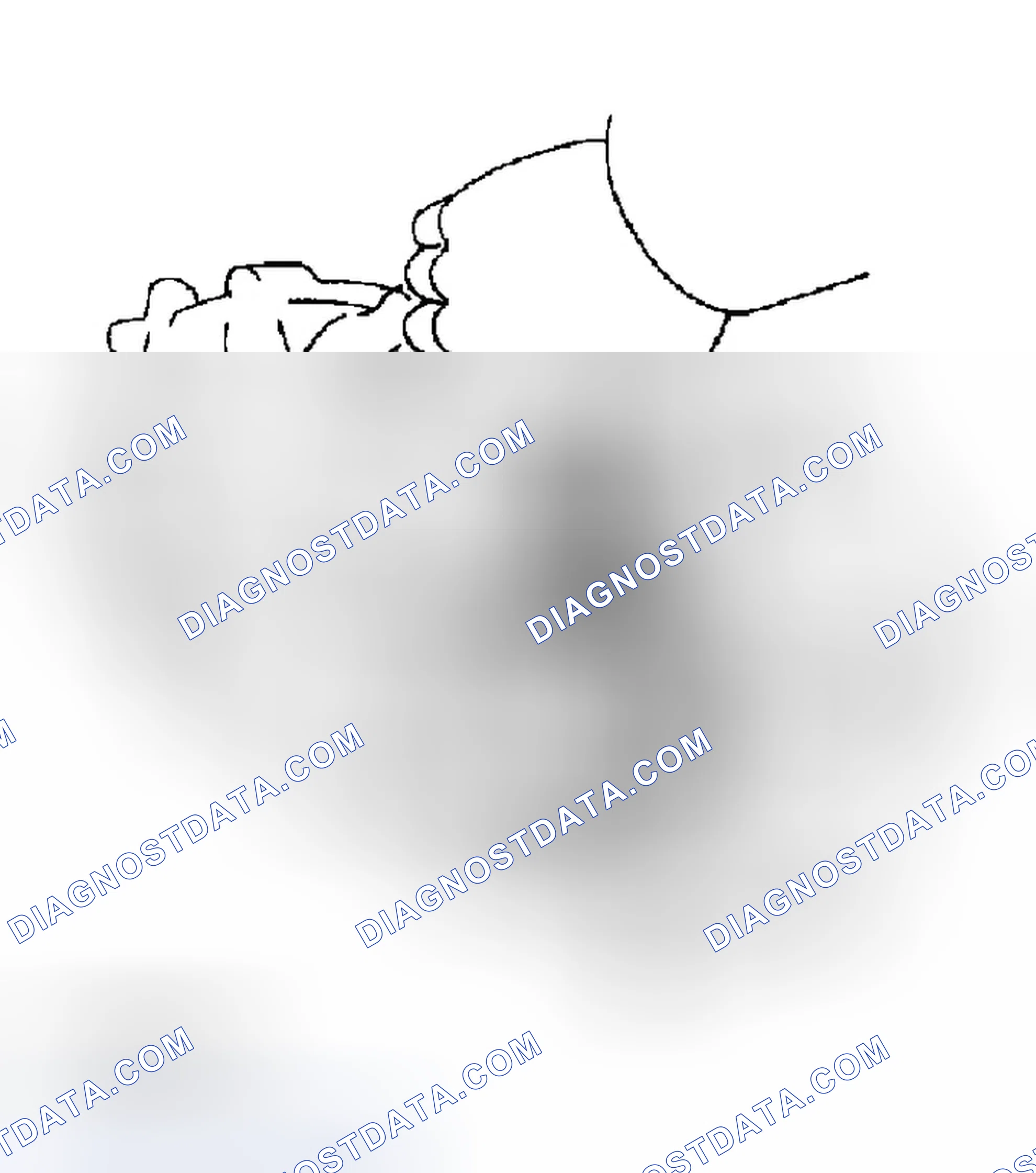 Scheme 97