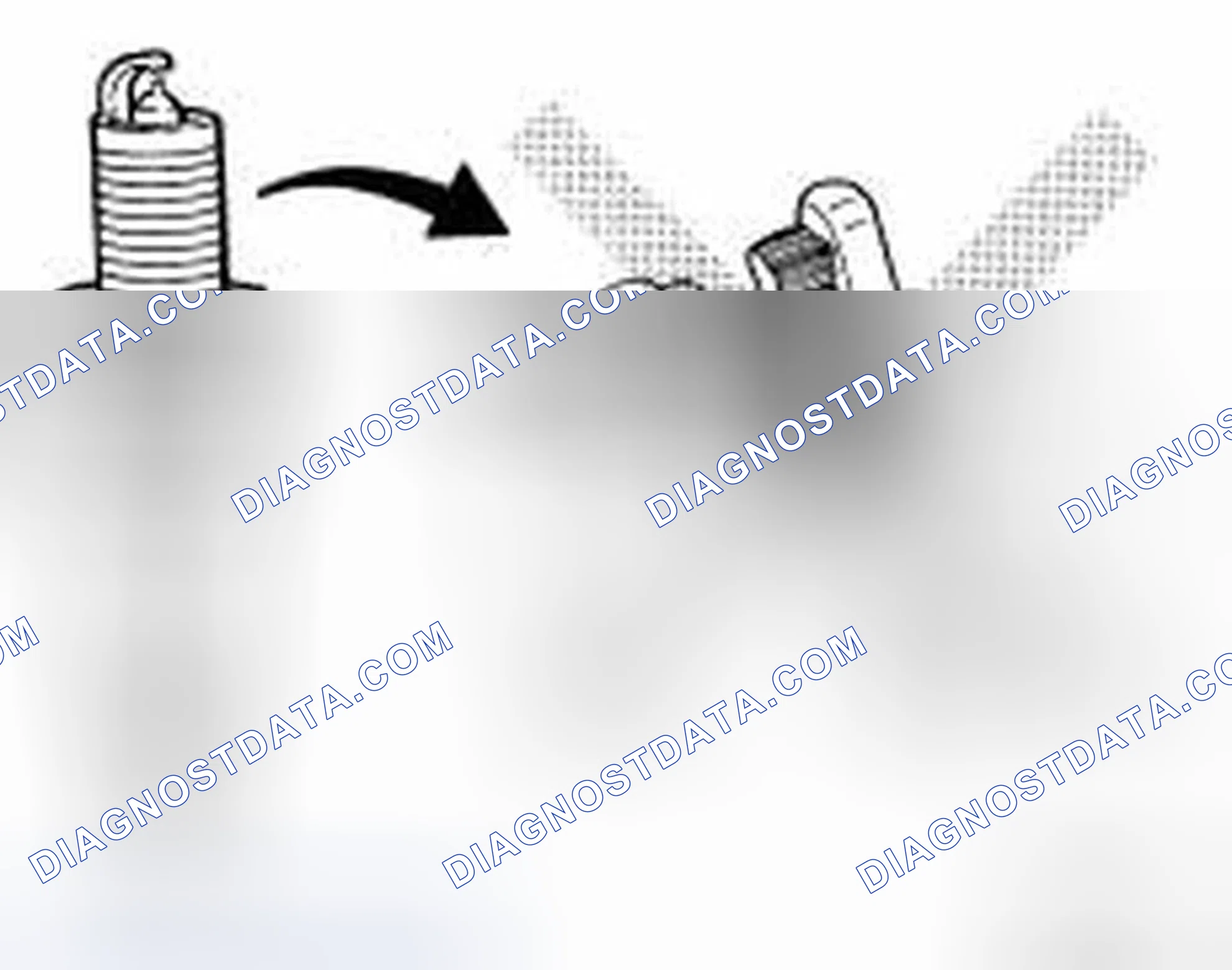 Scheme 1: INSPECTION AFTER REMOVAL