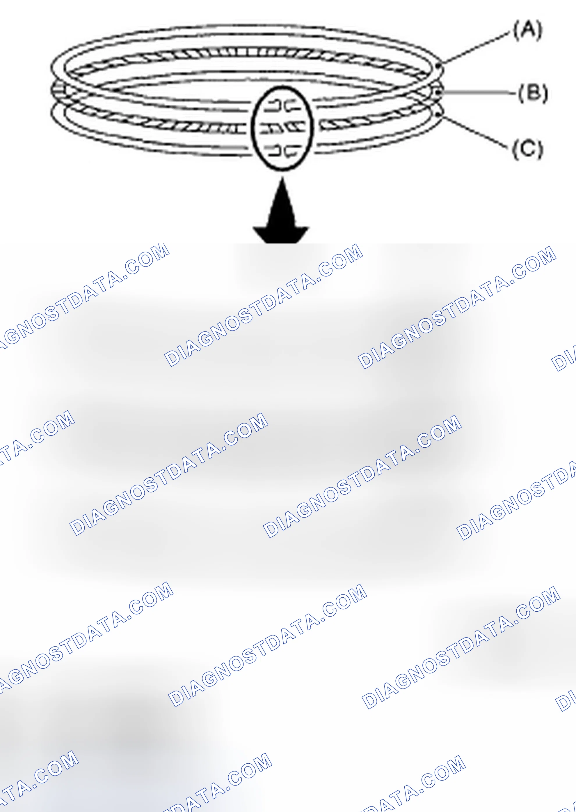 Scheme 684: PISTON RING