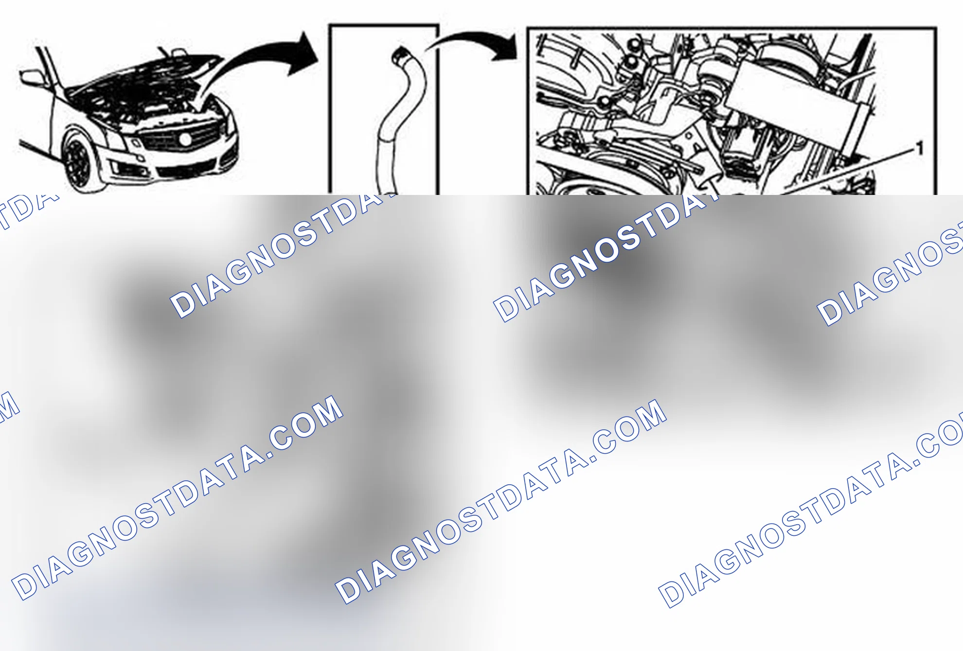 Scheme 13: Radiator Outlet Hose Replacement (LTG without V03)
