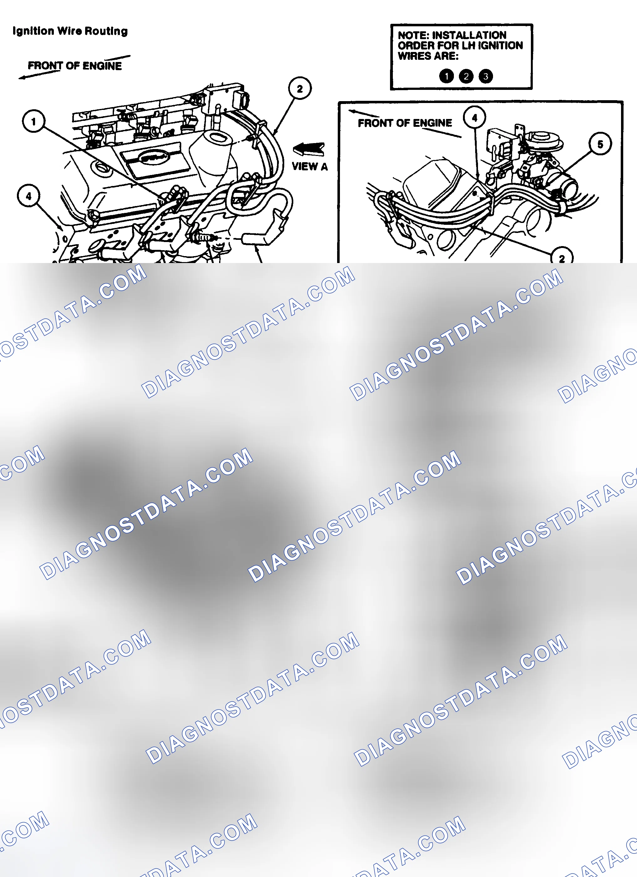 Scheme 9: Spark Plug Wire Routing (3.8L)