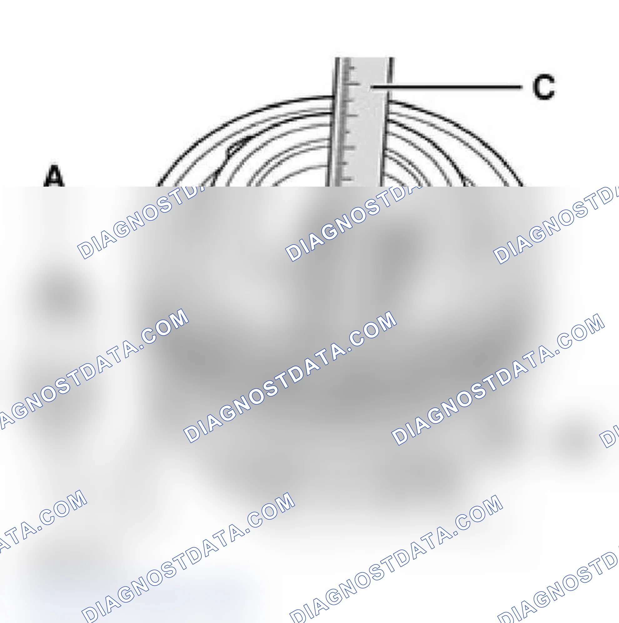 Scheme 19
