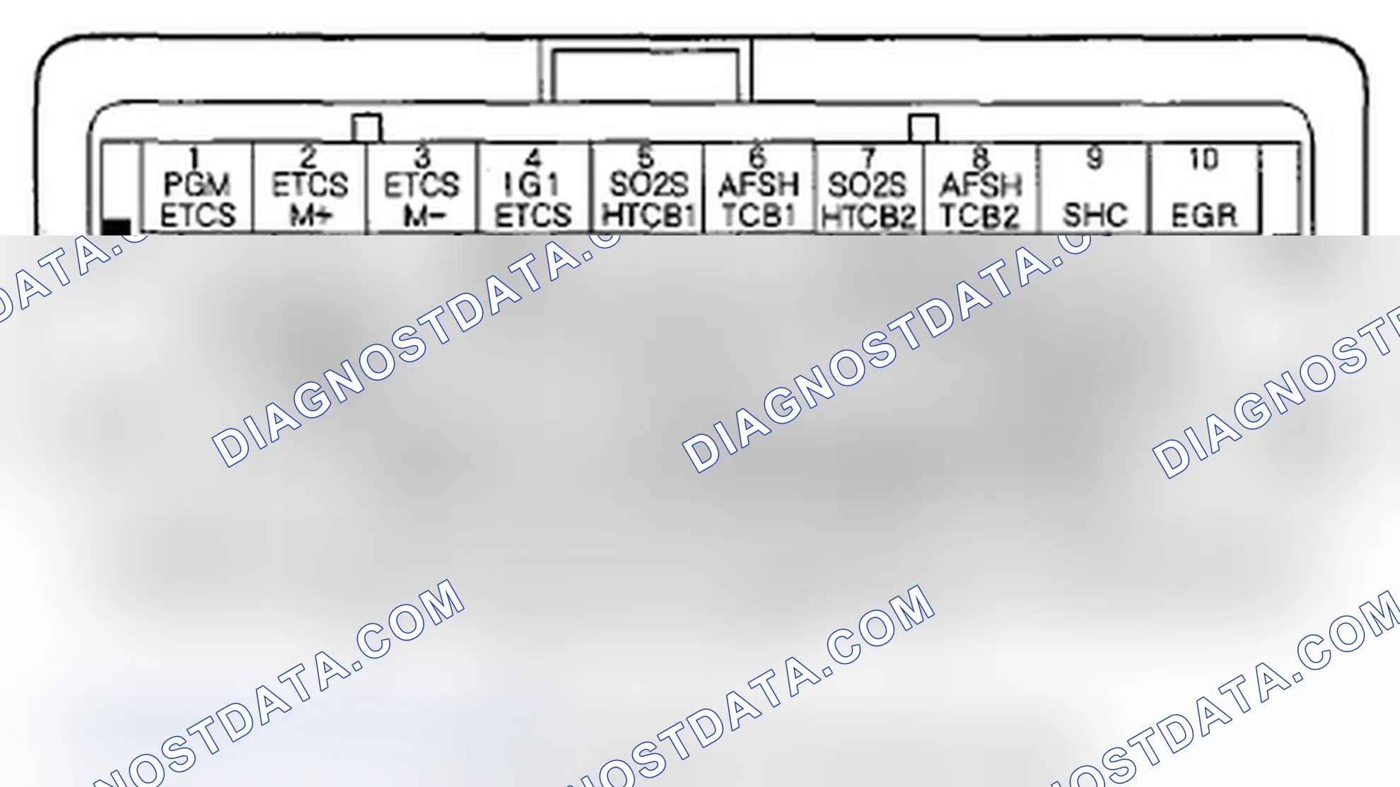Scheme 218: PCM Inputs and Outputs at PCM Connector C (o) (49P)