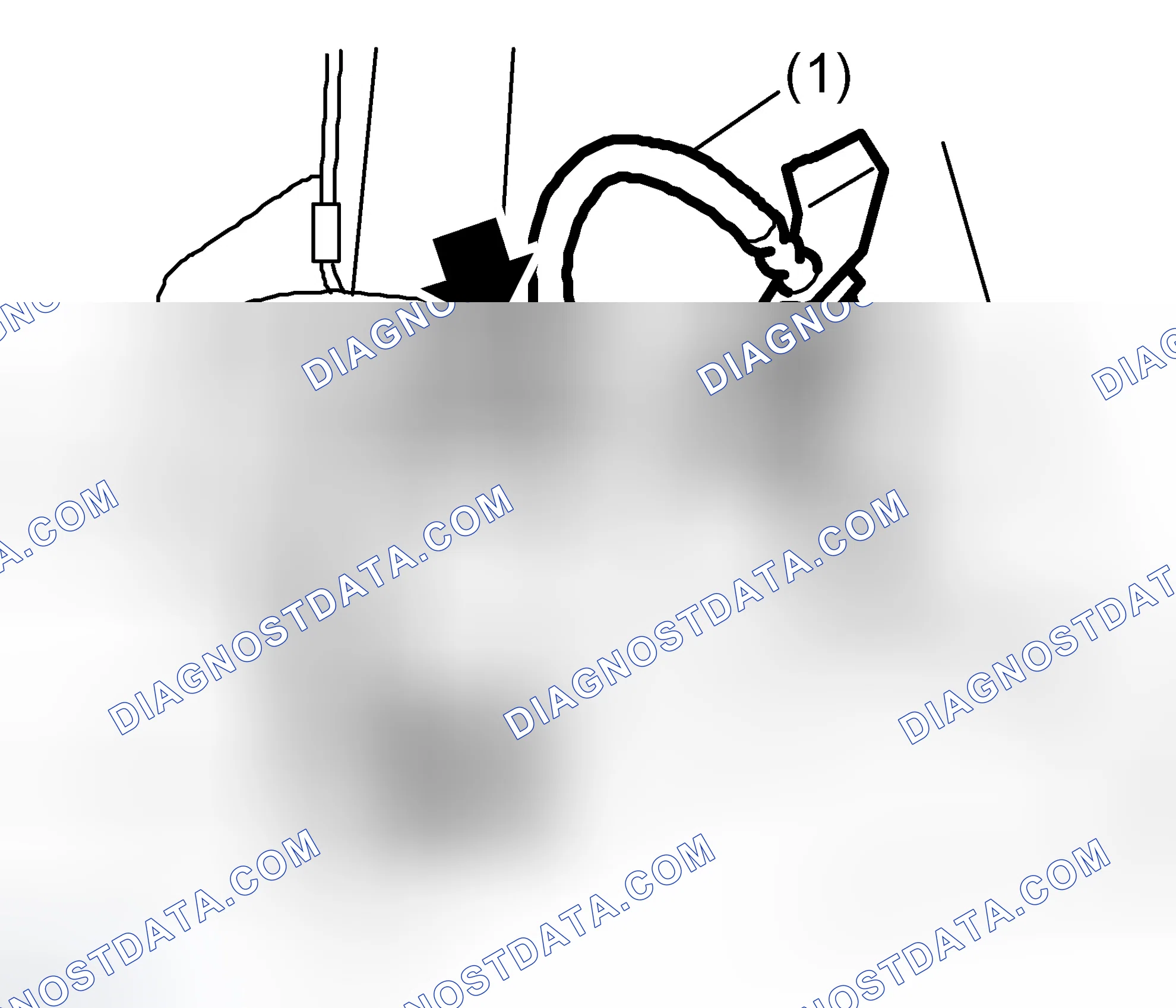 Scheme 77: Front Brake Hose