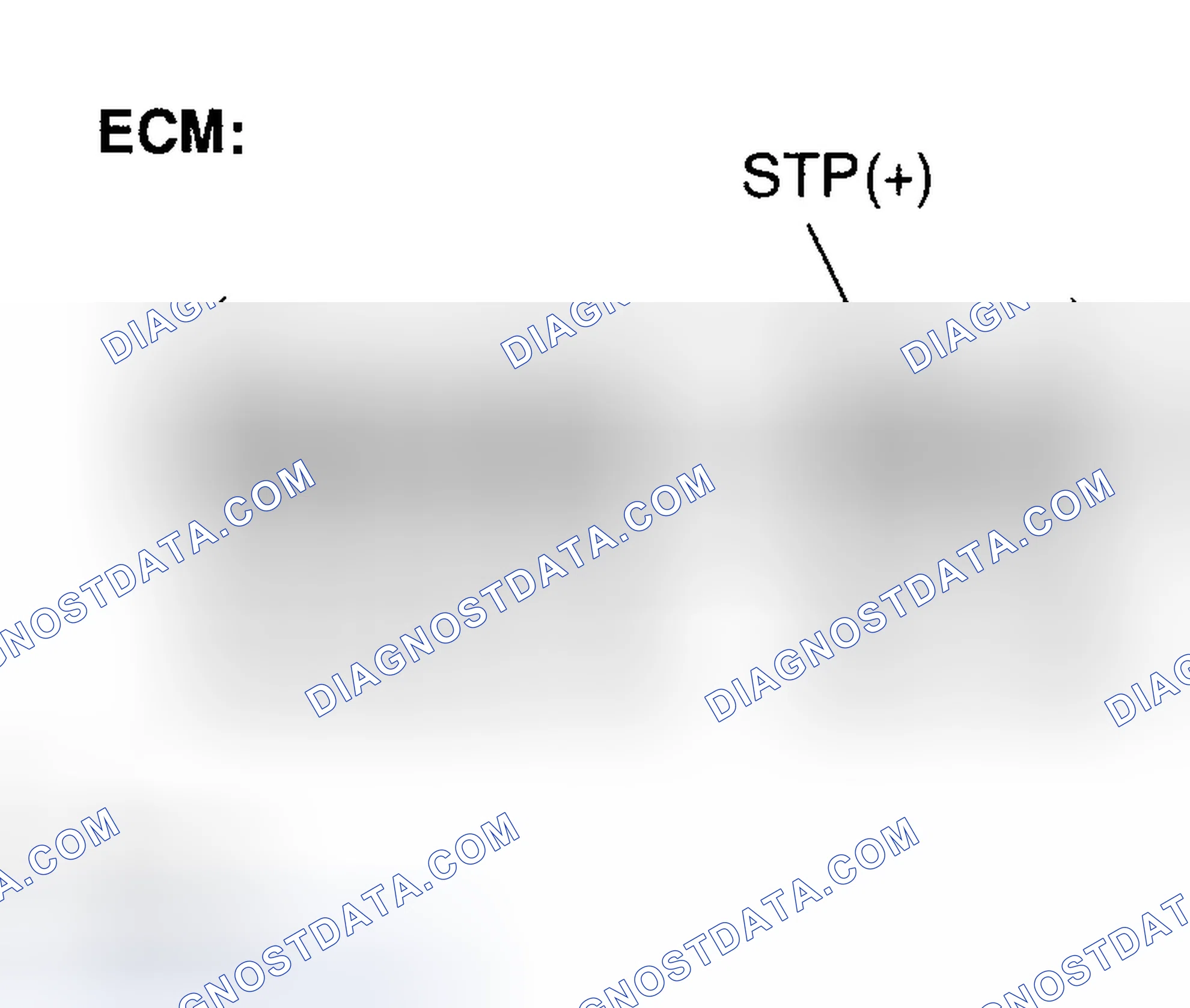 Scheme 307: INSPECTION PROCEDURE