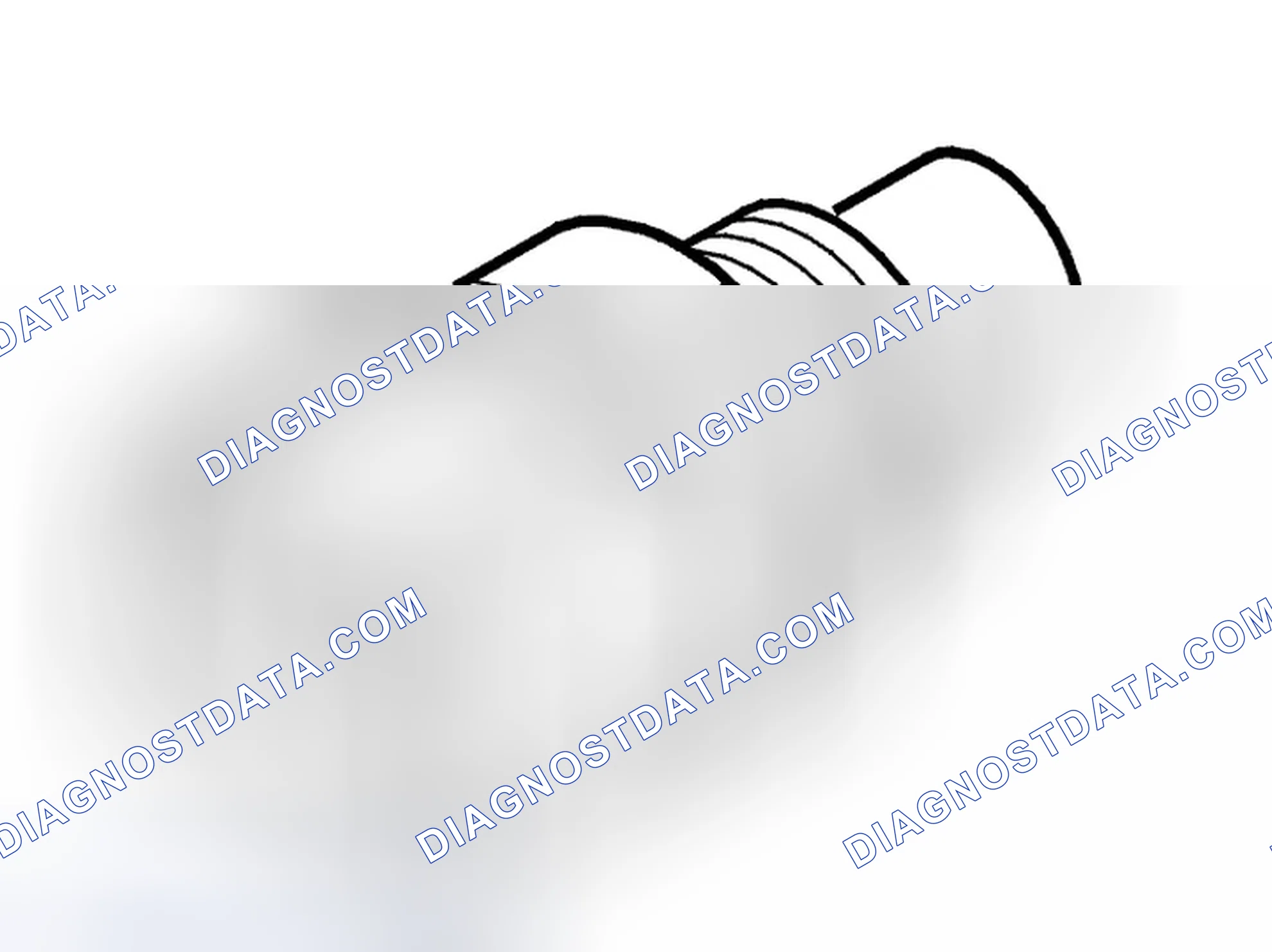 Scheme 37: Diagnostic trouble code (DTC) information