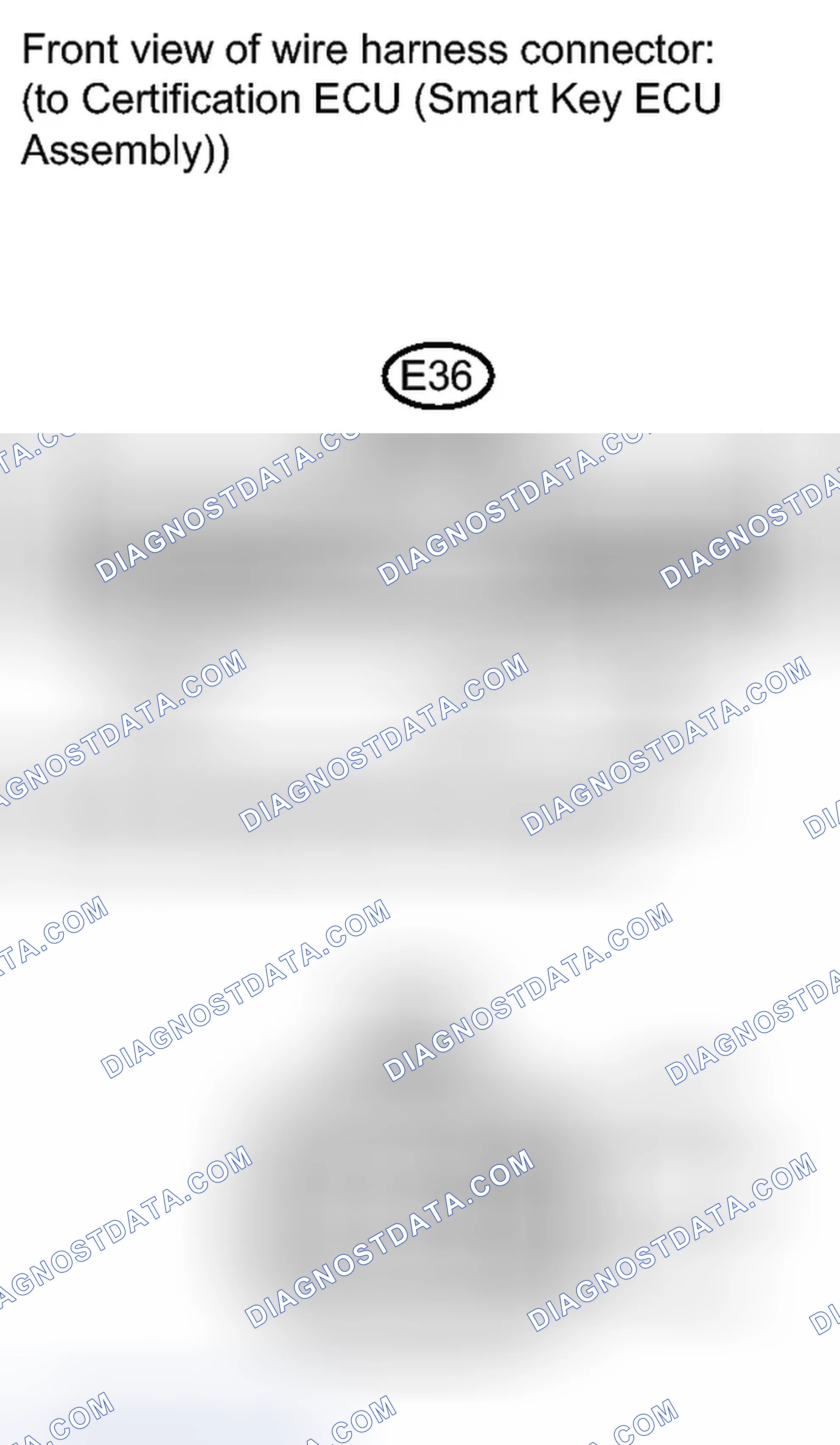 Scheme 219