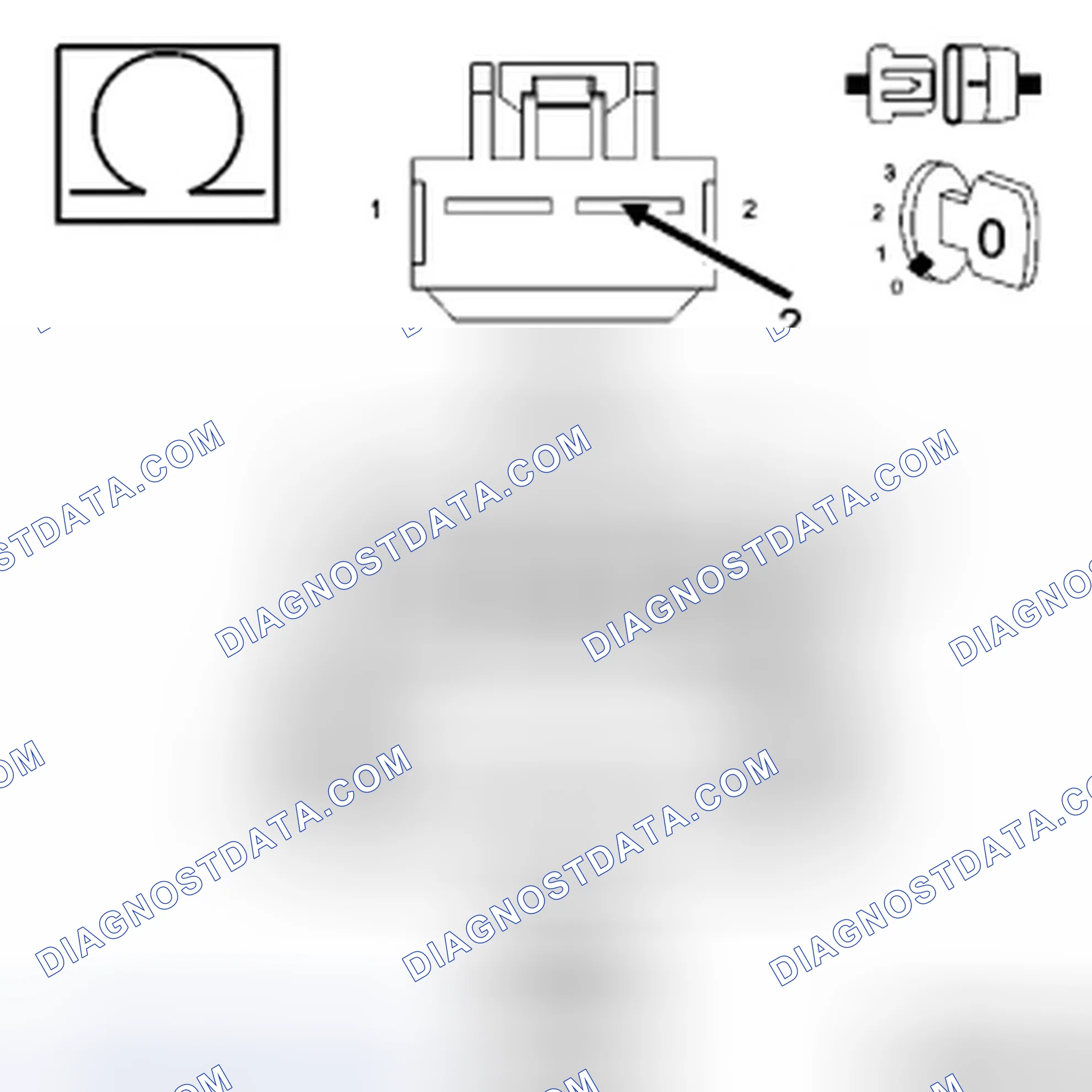 Scheme 27: Diagnostic Test