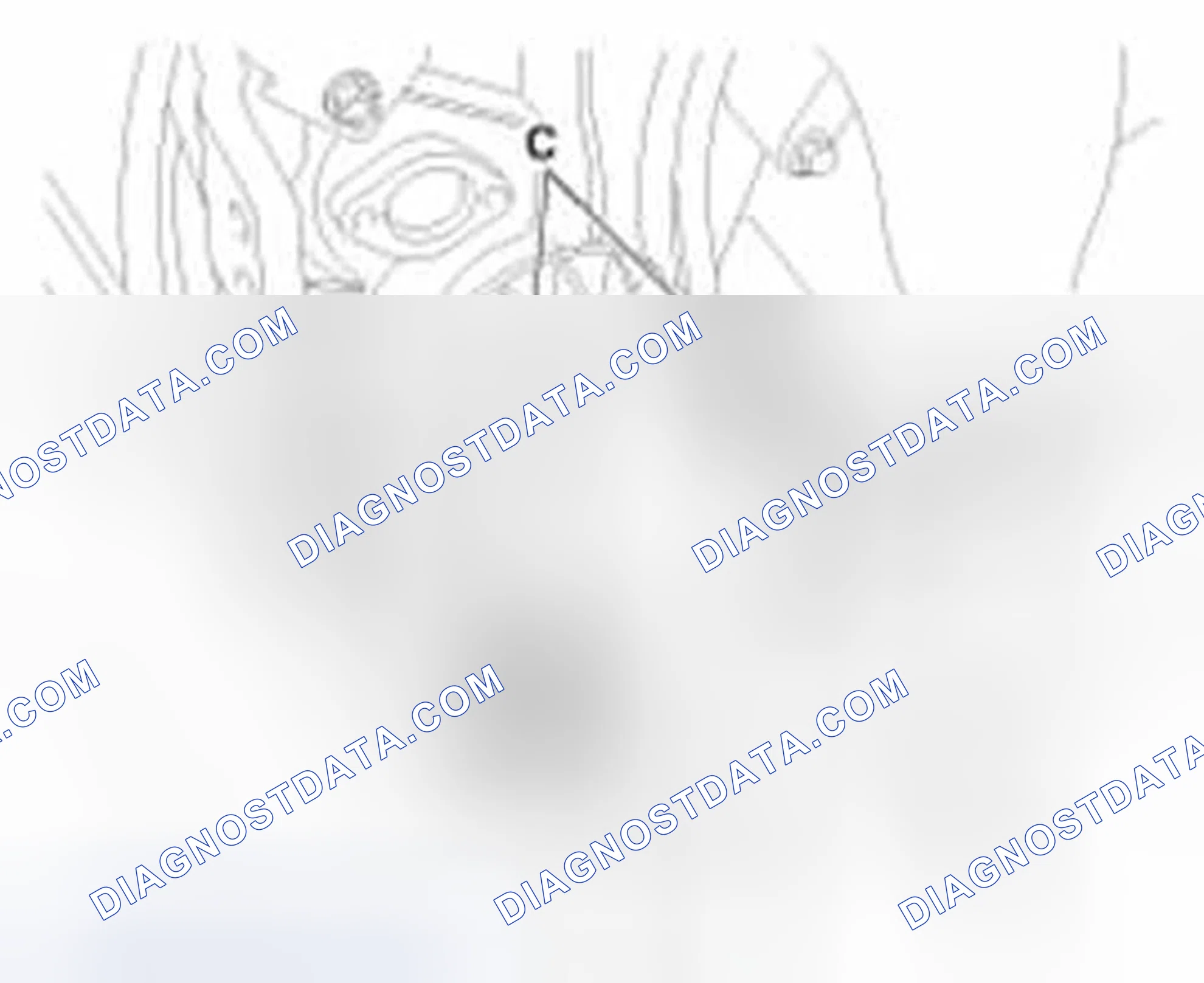 Scheme 140: Removal