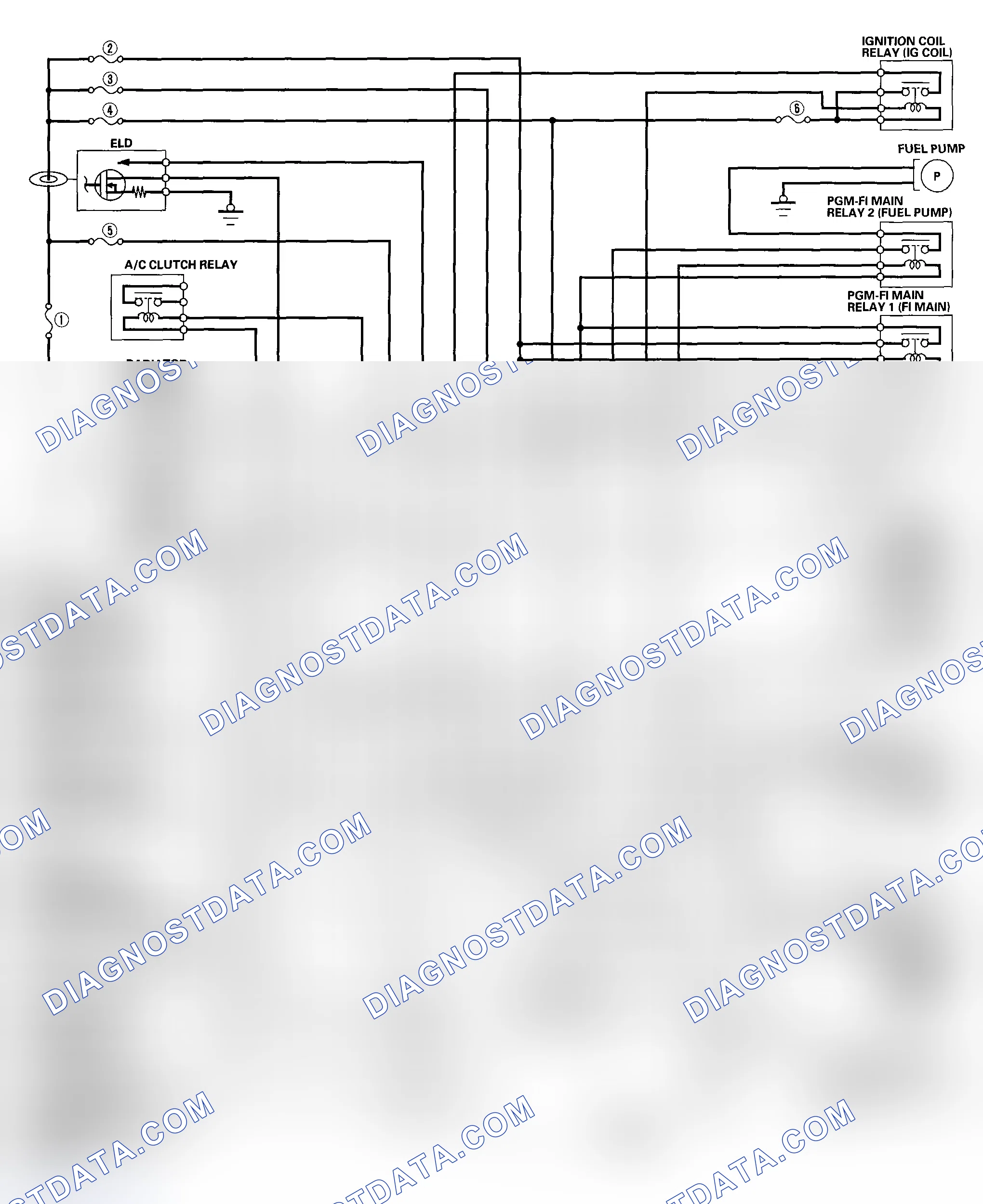 Scheme 10: ECM/PCM Electrical Connections - 2004-2005 Models