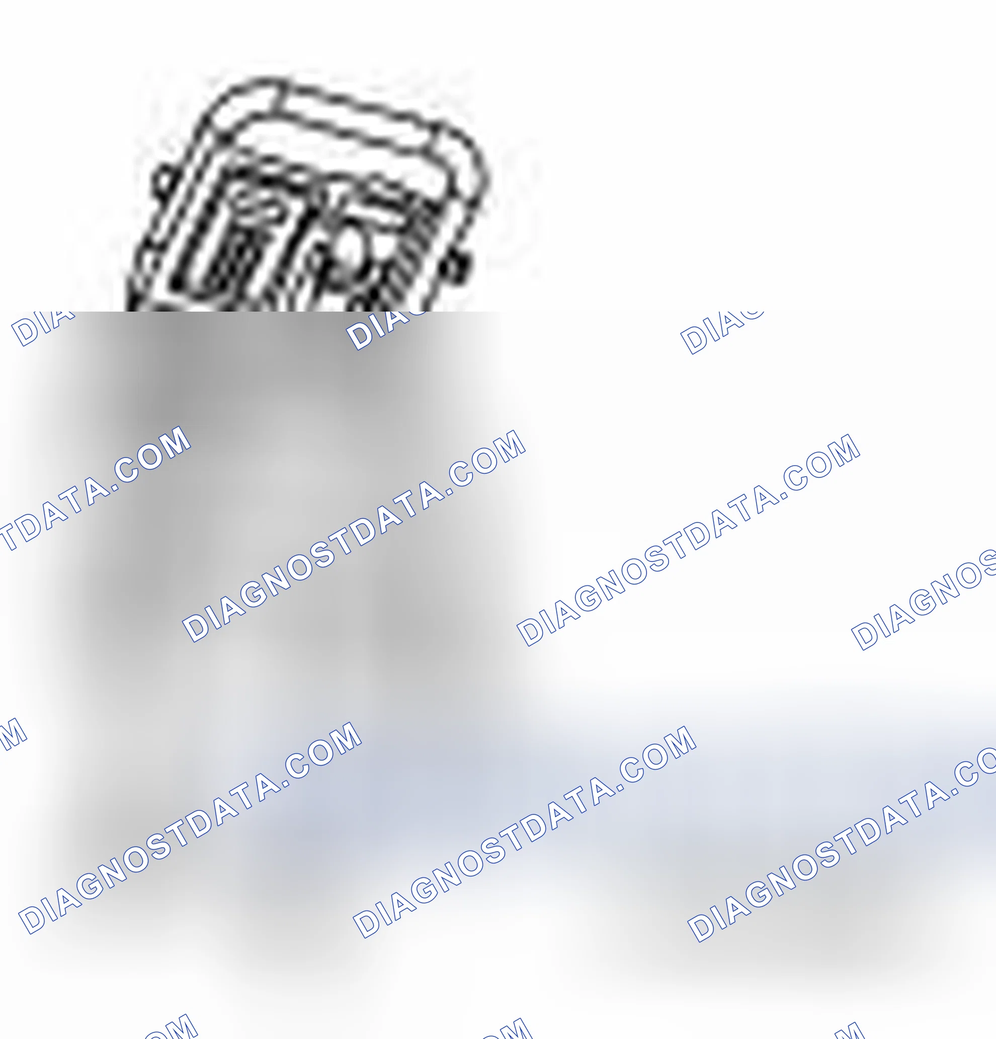 Scheme 13: Special Service Tool