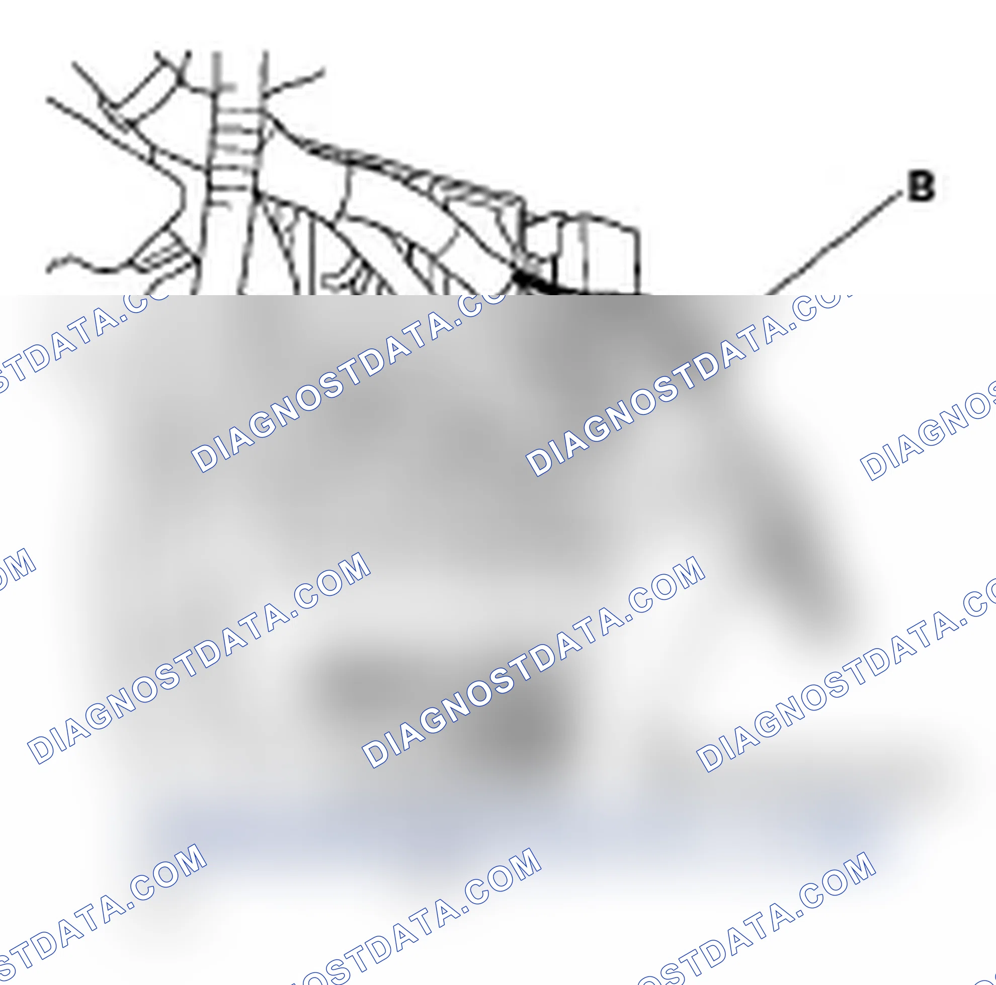 Scheme 35: Clear the DTC Memory Using MES Connector without the HDS