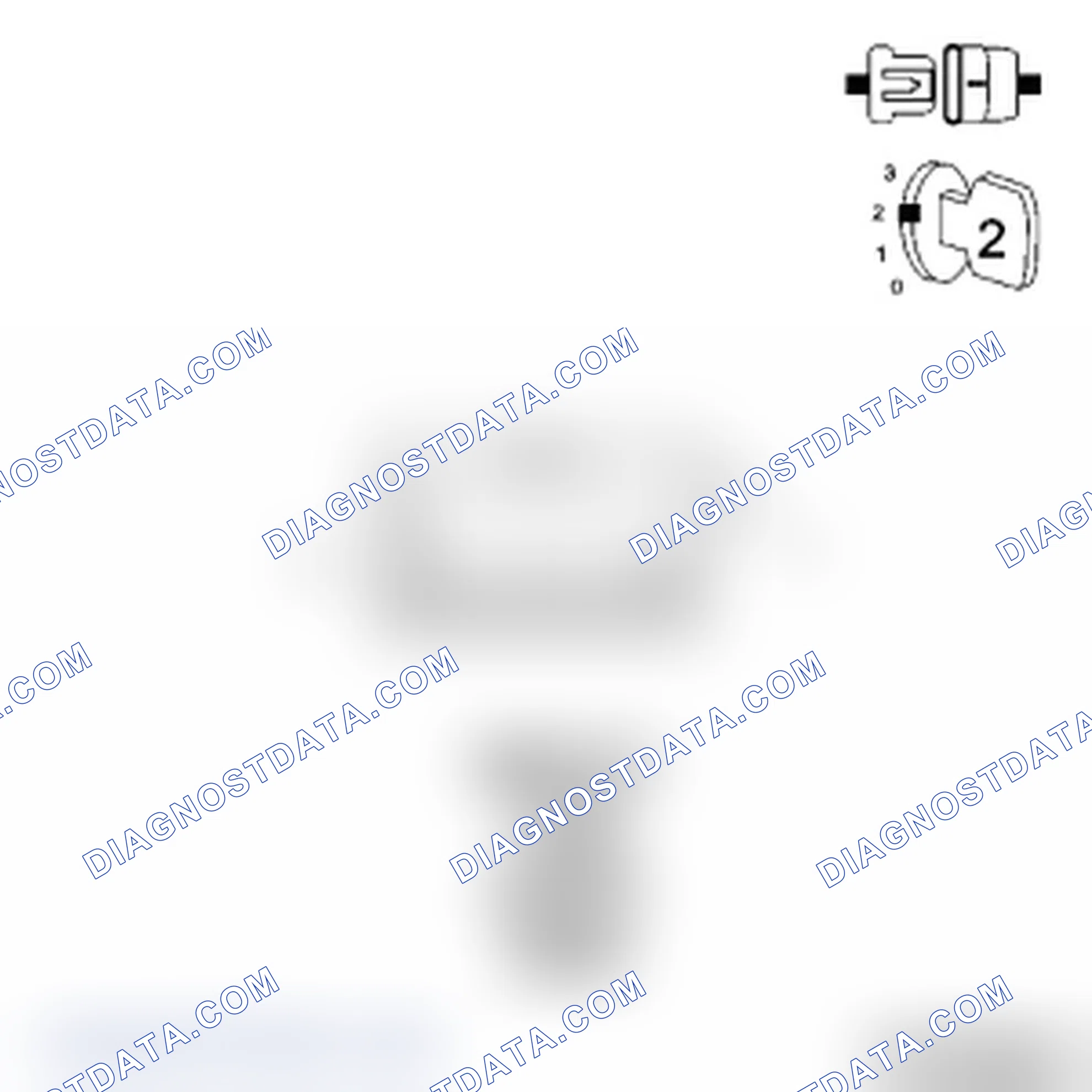 Scheme 43: Diagnostic Test