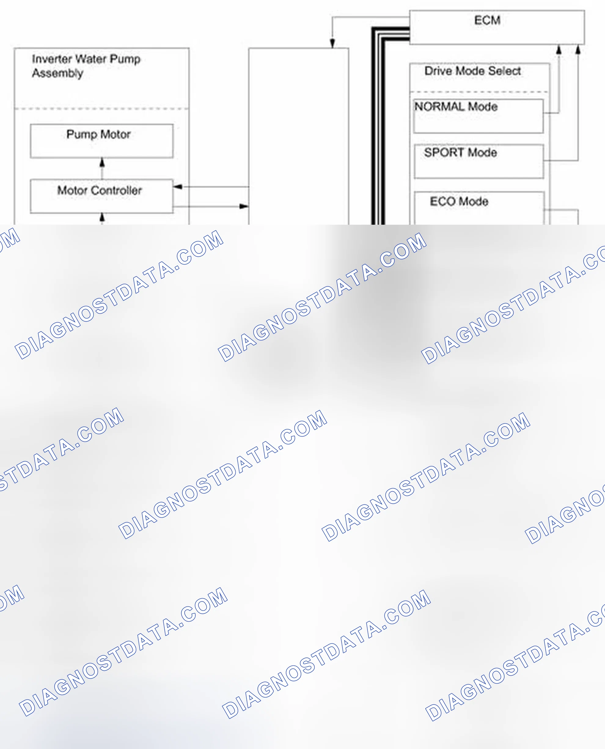Scheme 339