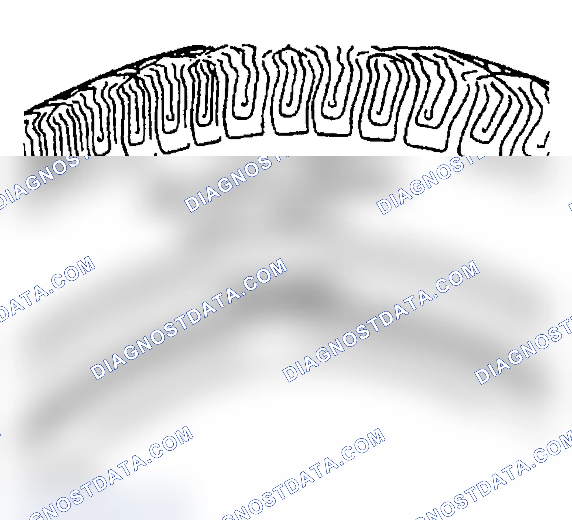 Scheme 27: All Seasons Tires Description