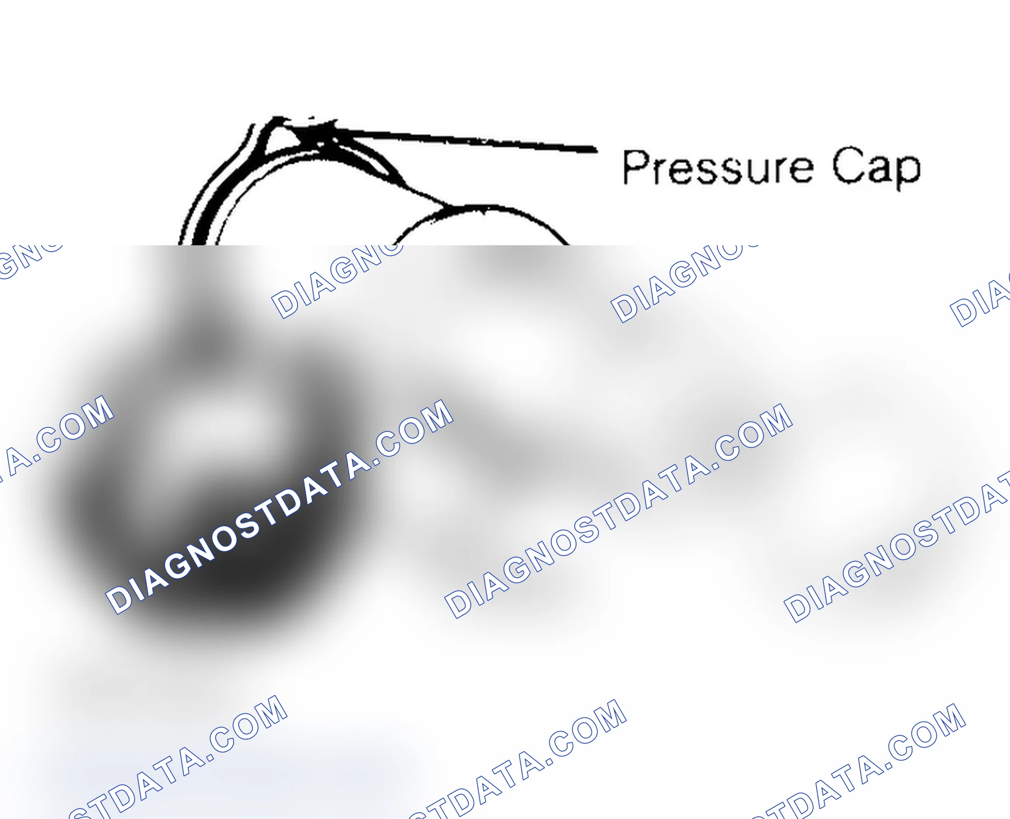 Scheme 2: Pressure Testing Radiator Cap