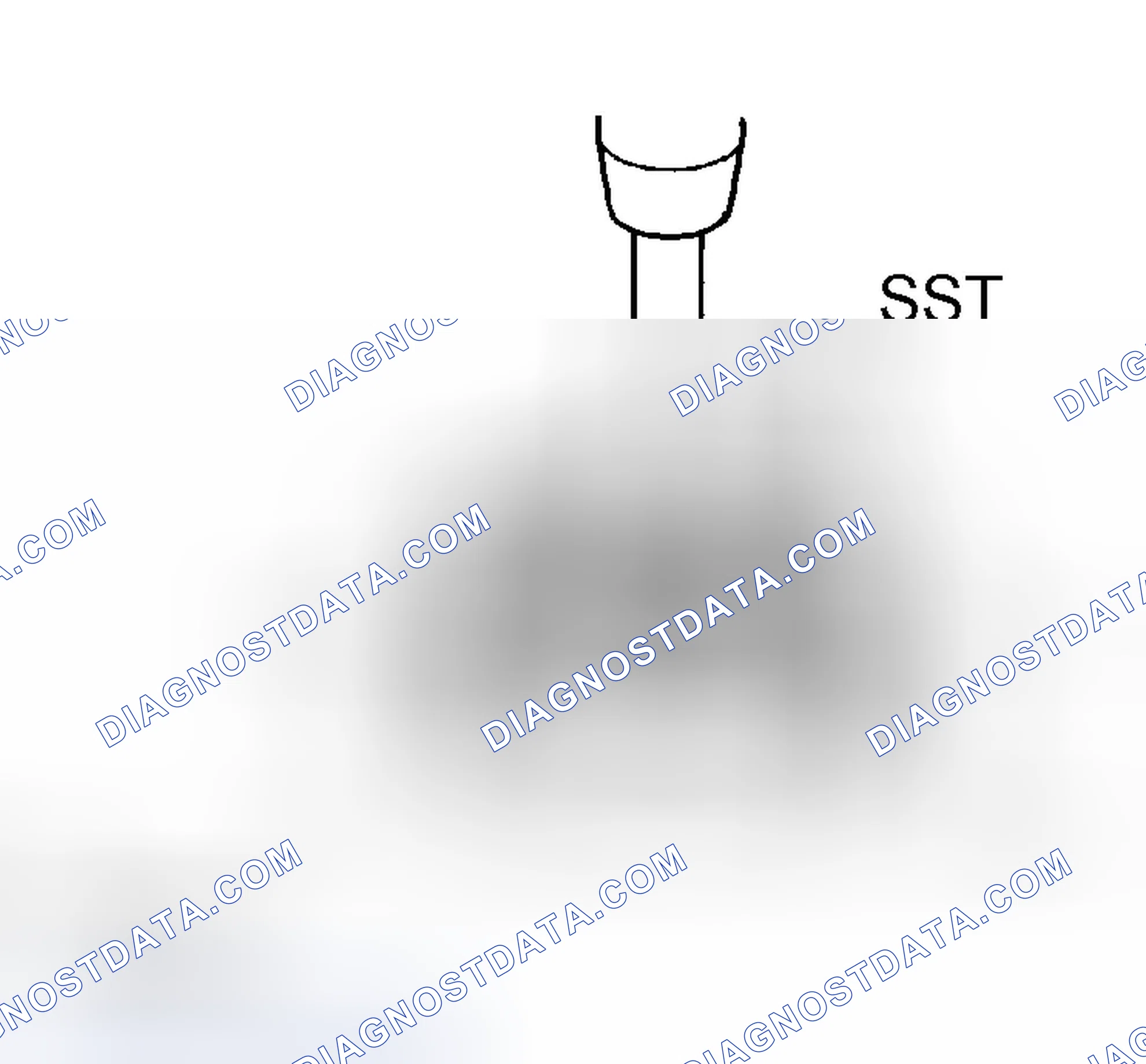 Scheme 10: Removing Tapered Roller Bearing (MG2 Side)