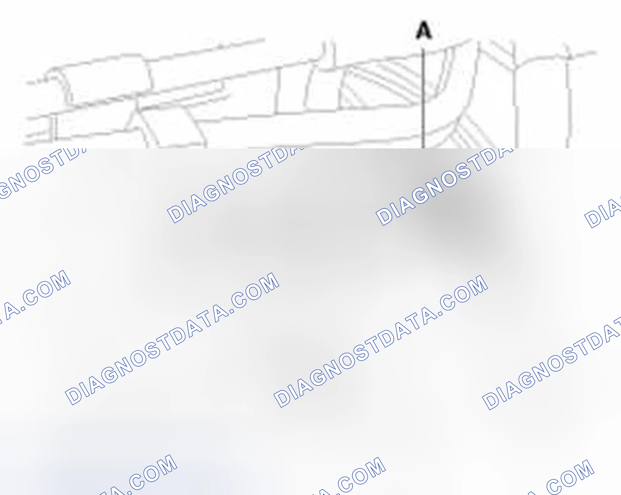 Scheme 135