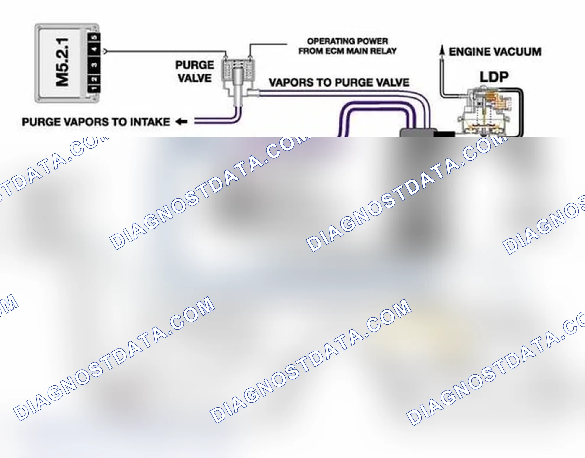 Scheme 5: Leak Diagnosis Pump (LDP System)