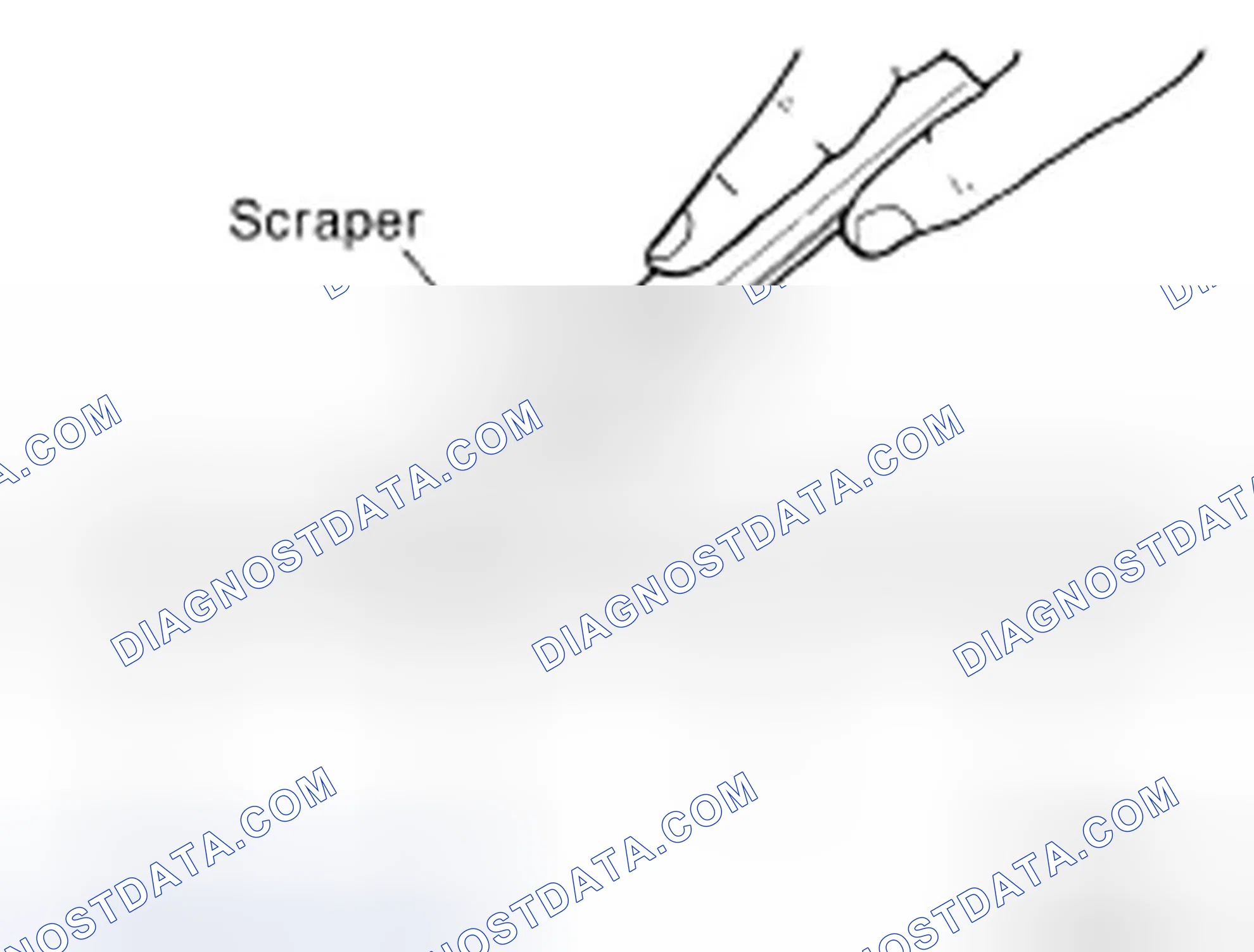 Scheme 2: LIQUID GASKET APPLICATION PROCEDURE