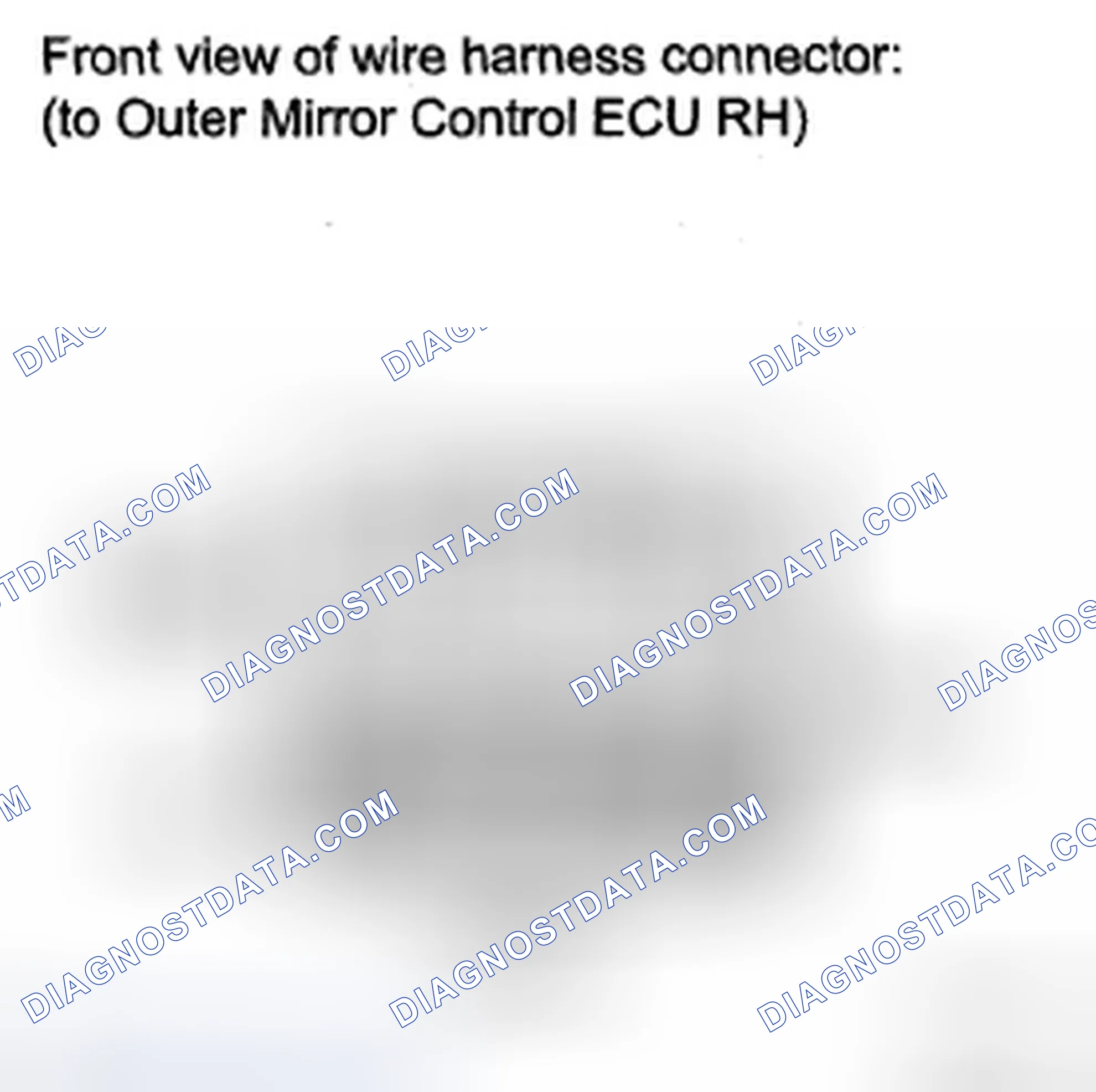 Scheme 94: INSPECTION PROCEDURE