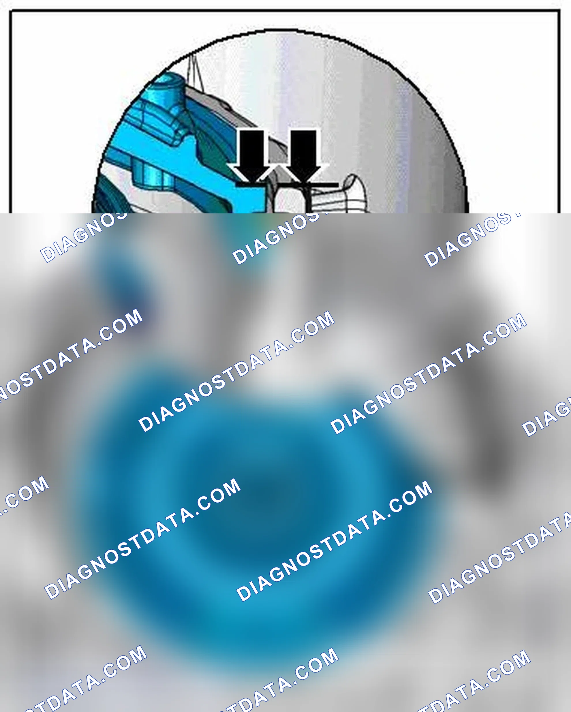 Scheme 295