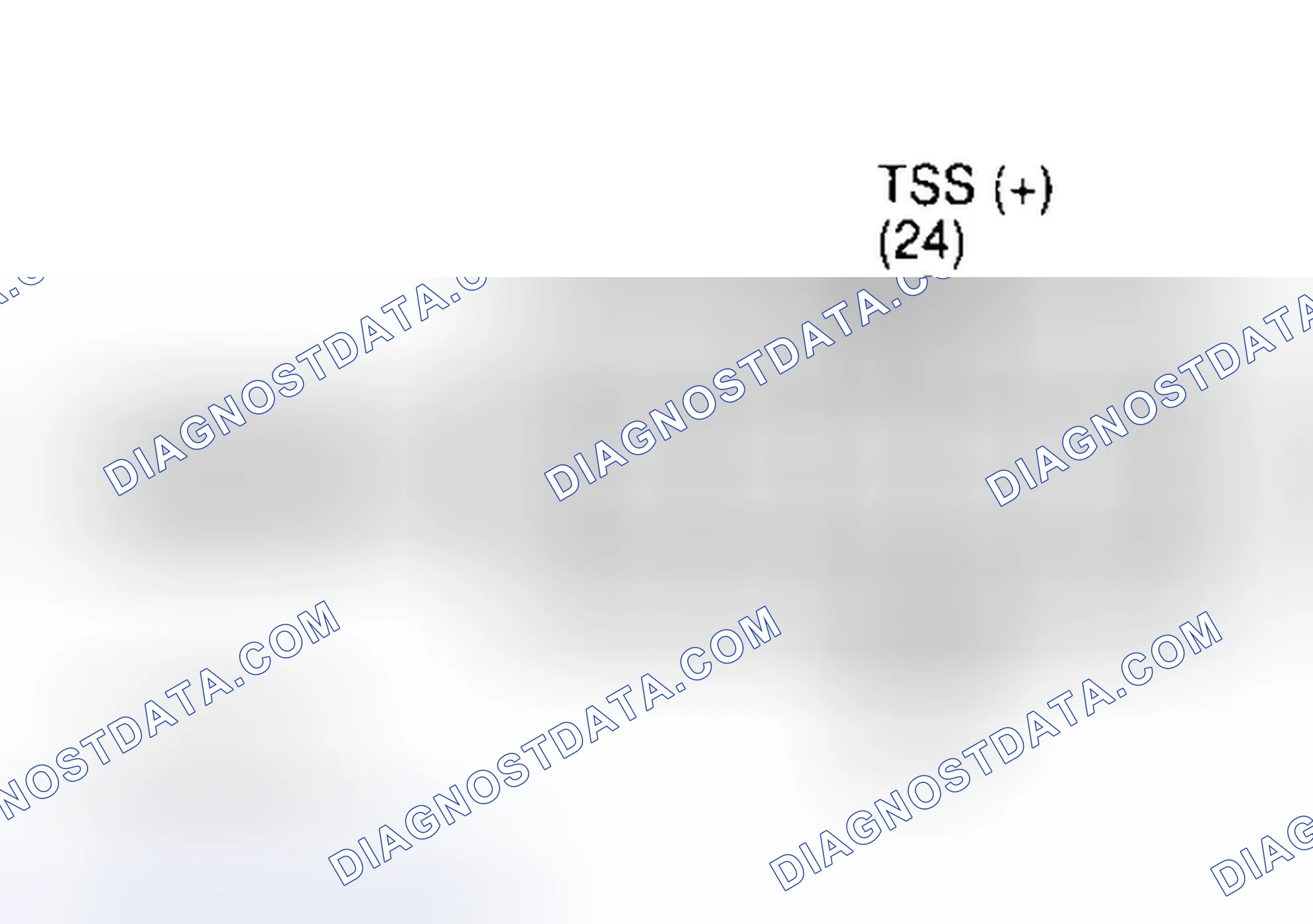 Scheme 111: Identifying Transmission 12-Pin Connector Terminals