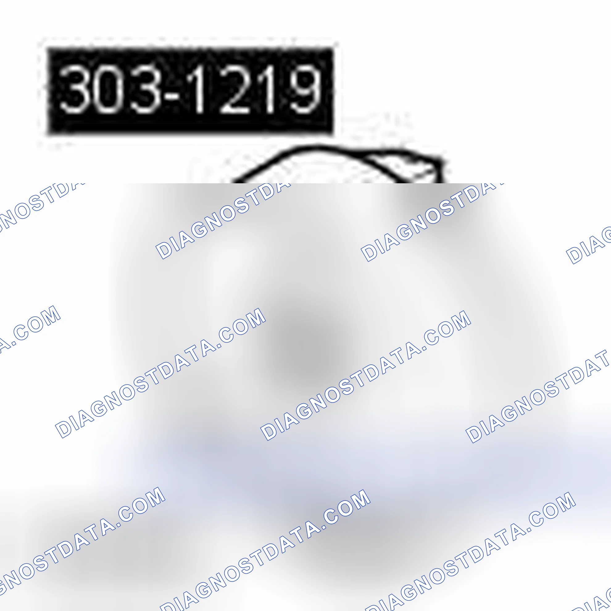 Scheme 207: TIMING CHAIN