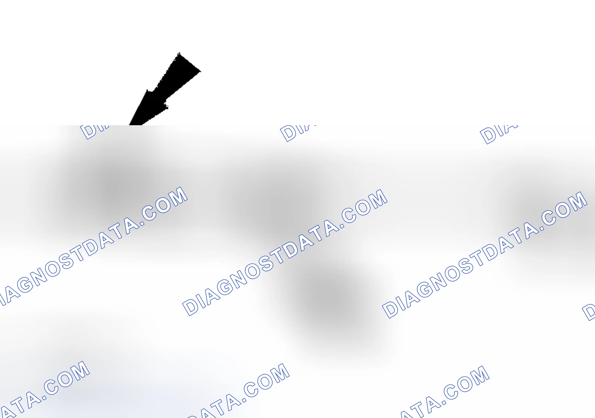 Scheme 92: Oil Injection Using a Dye/Lubricant Injector