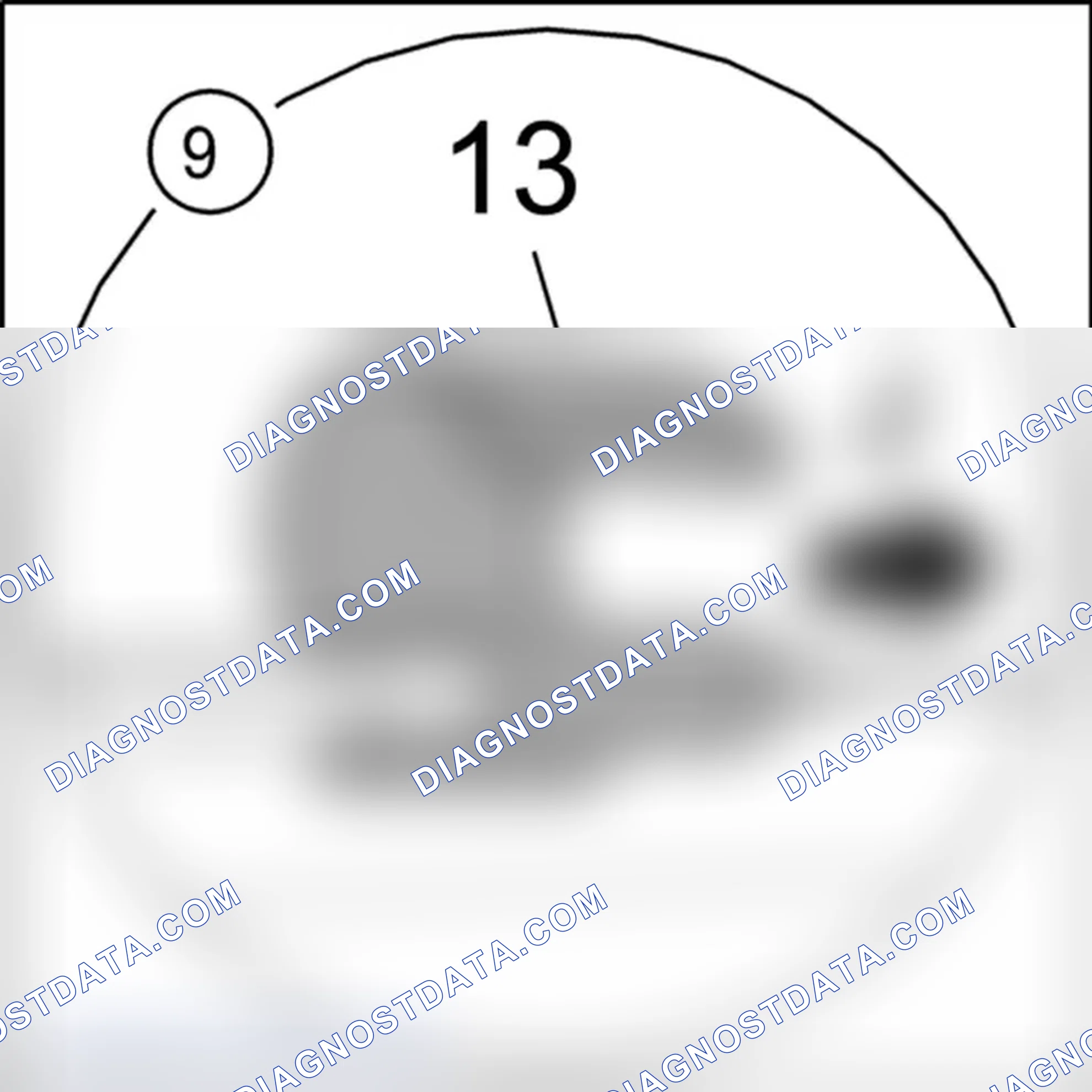 Scheme 786